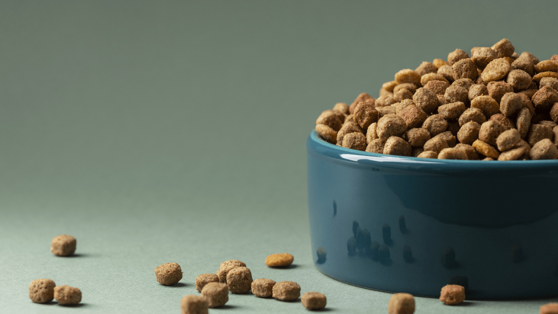 Good dog food provides your dog with optimum nutrition