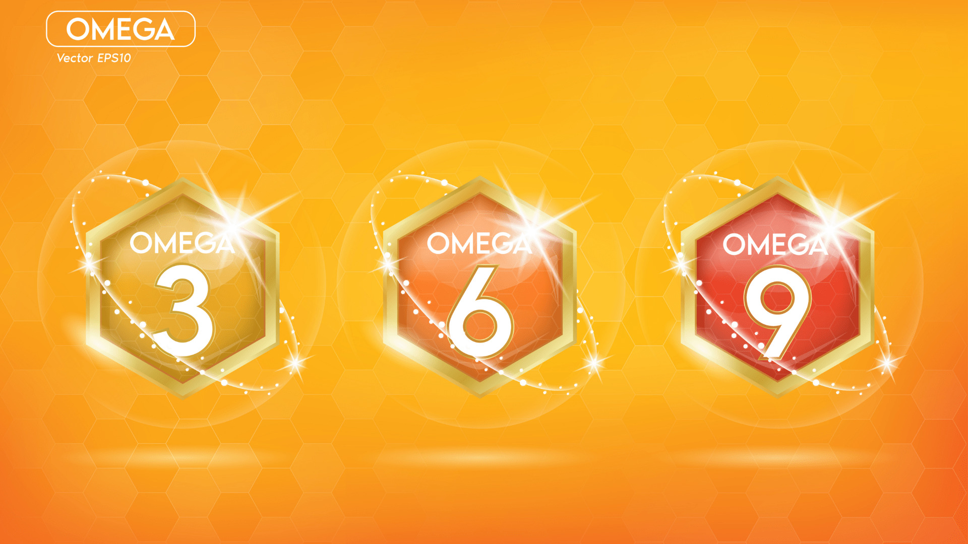 Omega 3, 6 and 9 fatty acids should be there in dog food