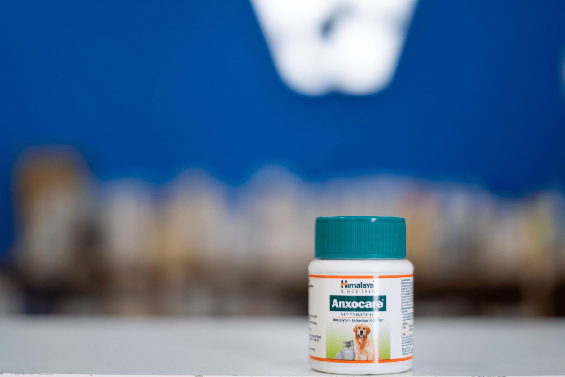 Anxocare tablets for anxiety in dogs