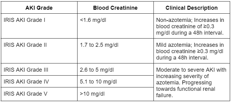 table of IRIS AKI Grading in dogs - acute kidney injury in dogs - Blood creatinine (mg/ml) - <1.4 = Normal blood creatinine or normal or mild increase blood SDMA. 1.4 – 2.8 = Normal or mildly increased creatinine, mild renal azotemia (lower end of the range lies within reference ranges for creatinine for many laboratories). 2.9 – 5.0 = Moderate renal azotemia. Many extrarenal signs may be present, but their extent and severity may vary. >5.0 = Increasing risk of systemic clinical signs and uremic crises. 