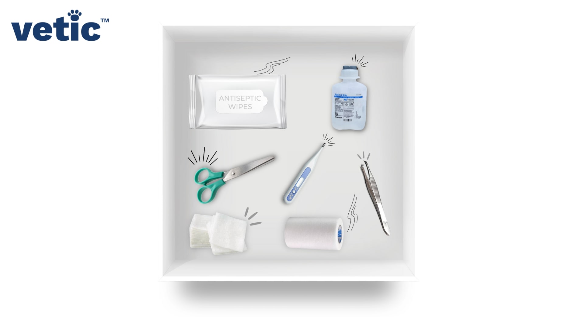 The basic pet first-aid kit you will need in the case of an emergency in pet.