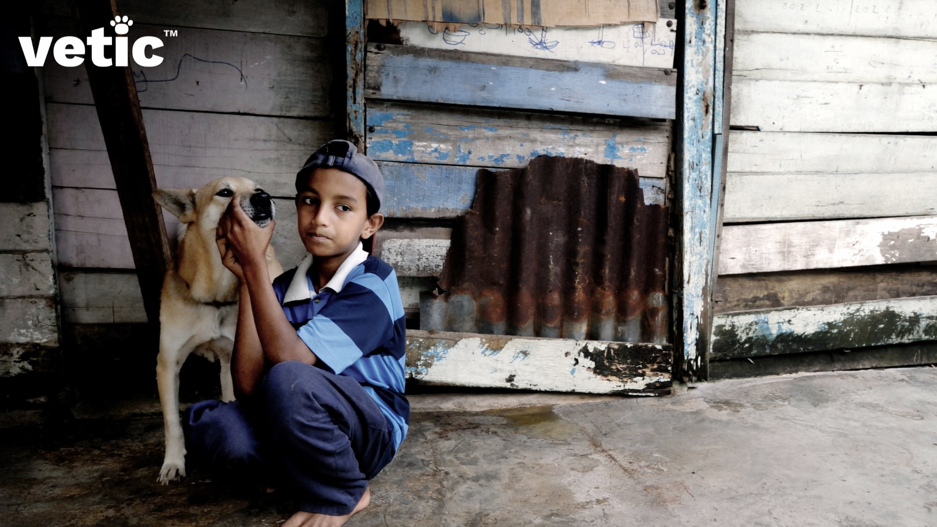 Photo of a kid around 10 years old. wearing a cap backwards, a blue-light blue striped polo neck t-shirt with a white collar and deep blue pants, holding an Indie dog by the muzzle. the streetie baby is light brown in colour. the photo may be taken in a downtrodden area since the door in the background is part broken wood and part tin.