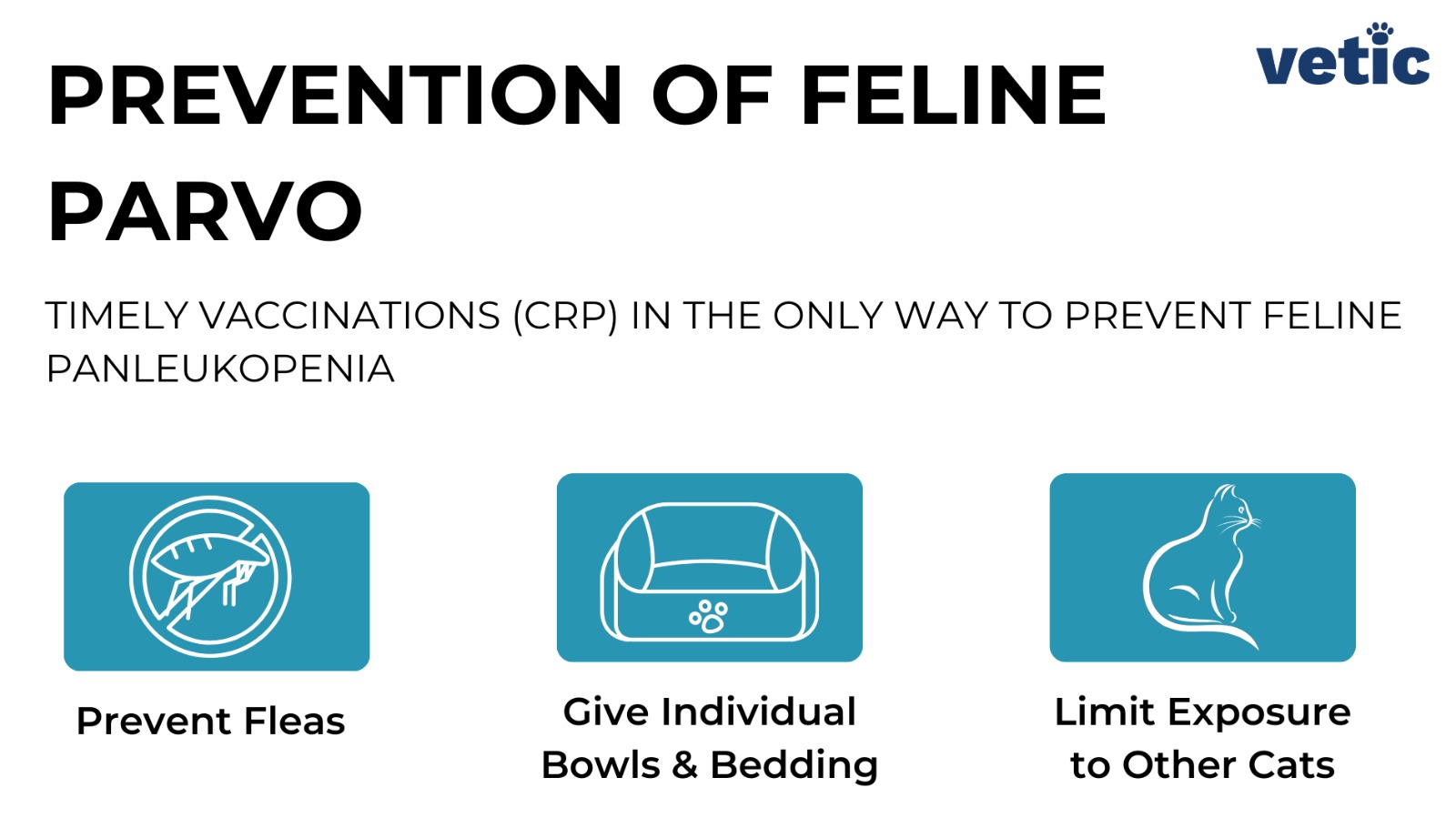 Infographic by Vetic on the Prevention of Feline Parvo Timely Vaccinations (CRP) in the ONLY Way to Prevent Feline Panleukopenia Additional Measures - Prevent Fleas Give Individual Bowls & Bedding Limit Exposure to Other Cats