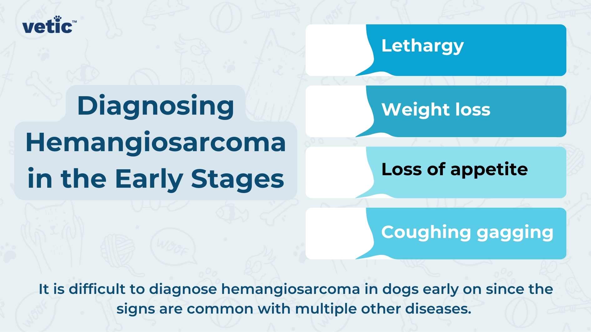 The image has a blue background adorned with various medical-related icons such as stethoscopes, pills, syringes, and hearts. In the top left corner, there’s a logo with the text “vetic” in lowercase letters. The central headline reads, “Diagnosing Hemangiosarcoma in the Early Stages.” Below this headline, there are five speech bubble shapes containing the following symptoms: Lethargy Weight loss Loss of appetite Coughing gagging At the bottom of the image, there’s a statement that says, “It is difficult to diagnose hemangiosarcoma in dogs early on because the signs are common with multiple other diseases.”