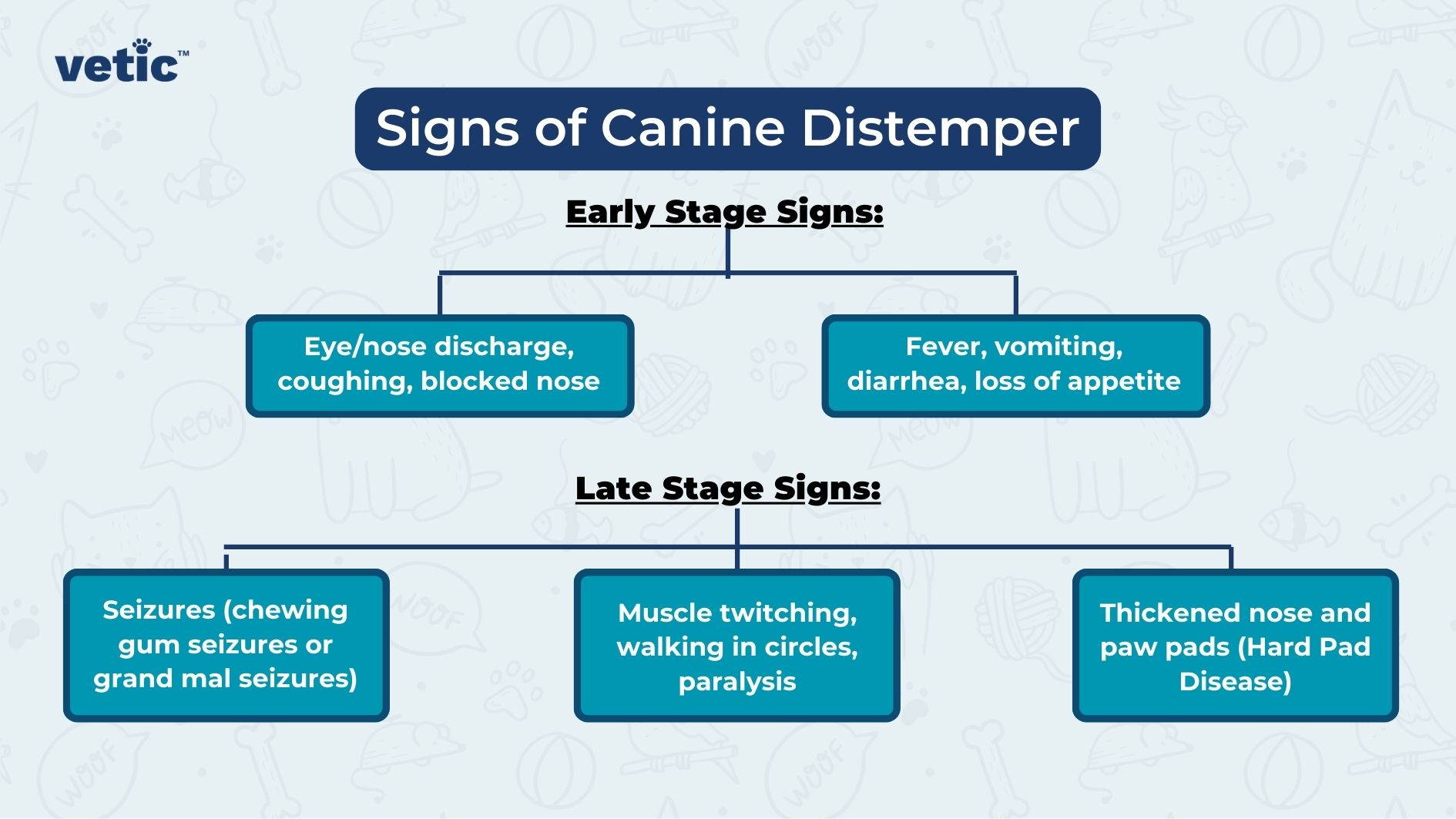 You Uploaded image I will attach an image with this prompt. I need you to describe the image including the OCR text in the minutest detail. Next, i need you to give me a short description or takeaway message that people can receive from the image. Copilot The image is an informational graphic from "vetic" about the signs of Canine Distemper. The background is light blue with faint illustrations of various pet-related items such as bones, paw prints, and toys. The main content is organized into two sections: Early Stage Signs and Late Stage Signs. Text in the image: "vetic" (logo in the top left corner) "Signs of Canine Distemper" (title in the center) "Early Stage Signs:" (subheading) "Eye/nose discharge, coughing, blocked nose" (left box under Early Stage Signs) "Fever, vomiting, diarrhea, loss of appetite" (right box under Early Stage Signs) "Late Stage Signs:" (subheading) "Seizures (chewing gum seizures or grand mal seizures)" (left box under Late Stage Signs) "Muscle twitching, walking in circles, paralysis" (center box under Late Stage Signs) "Thickened nose and paw pads (Hard Pad Disease)" (right box under Late Stage Signs)