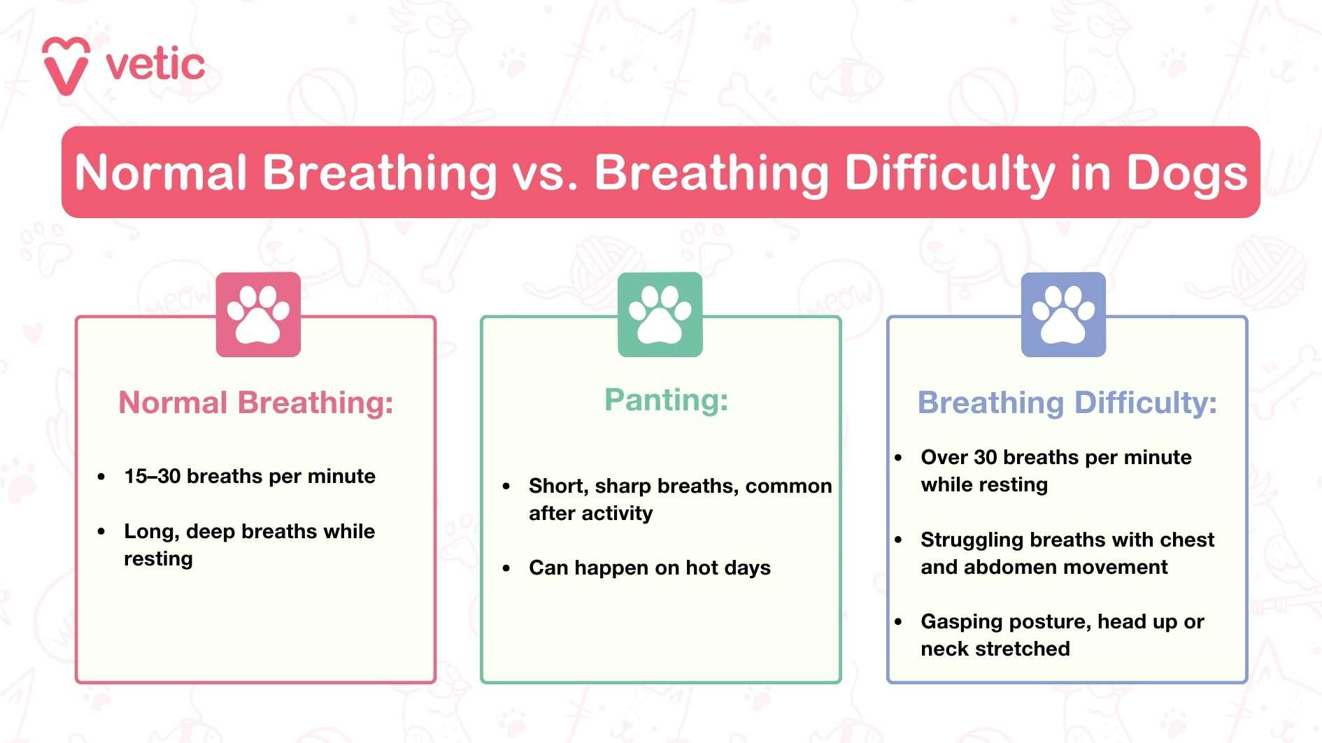The image is an informational graphic from "Vetic" that compares normal breathing, panting, and breathing difficulty in dogs. It is divided into three sections, each with a paw icon and a different colored background. Normal Breathing: 15-30 breaths per minute Long, deep breaths while resting Panting: Short, sharp breaths, common after activity Can happen on hot days Breathing Difficulty: Over 30 breaths per minute while resting Struggling breaths with chest and abdomen movement Gasping posture, head up or neck stretched