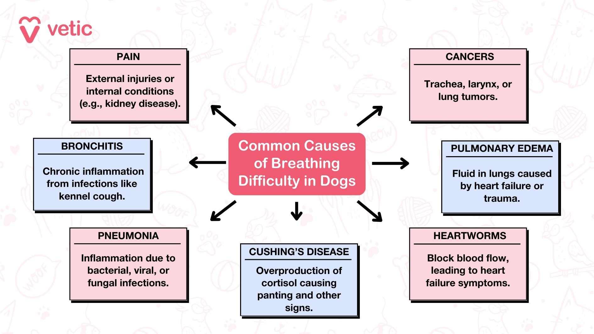 an infographic from "vetic" that outlines the common causes of breathing difficulty in dogs. The central box, labeled "Common Causes of Breathing Difficulty in Dogs," is connected to six surrounding boxes, each detailing a specific cause: Pain: External injuries or internal conditions (e.g., kidney disease). Cancers: Trachea, larynx, or lung tumors. Pulmonary Edema: Fluid in lungs caused by heart failure or trauma. Heartworms: Block blood flow, leading to heart failure symptoms. Cushing's Disease: Overproduction of cortisol causing panting and other signs. Pneumonia: Inflammation due to bacterial, viral, or fungal infections. Bronchitis: Chronic inflammation from infections like kennel cough. This image is a helpful resource for pet owners and veterinarians, providing a clear and concise overview of various medical conditions that can cause breathing difficulties in dogs.