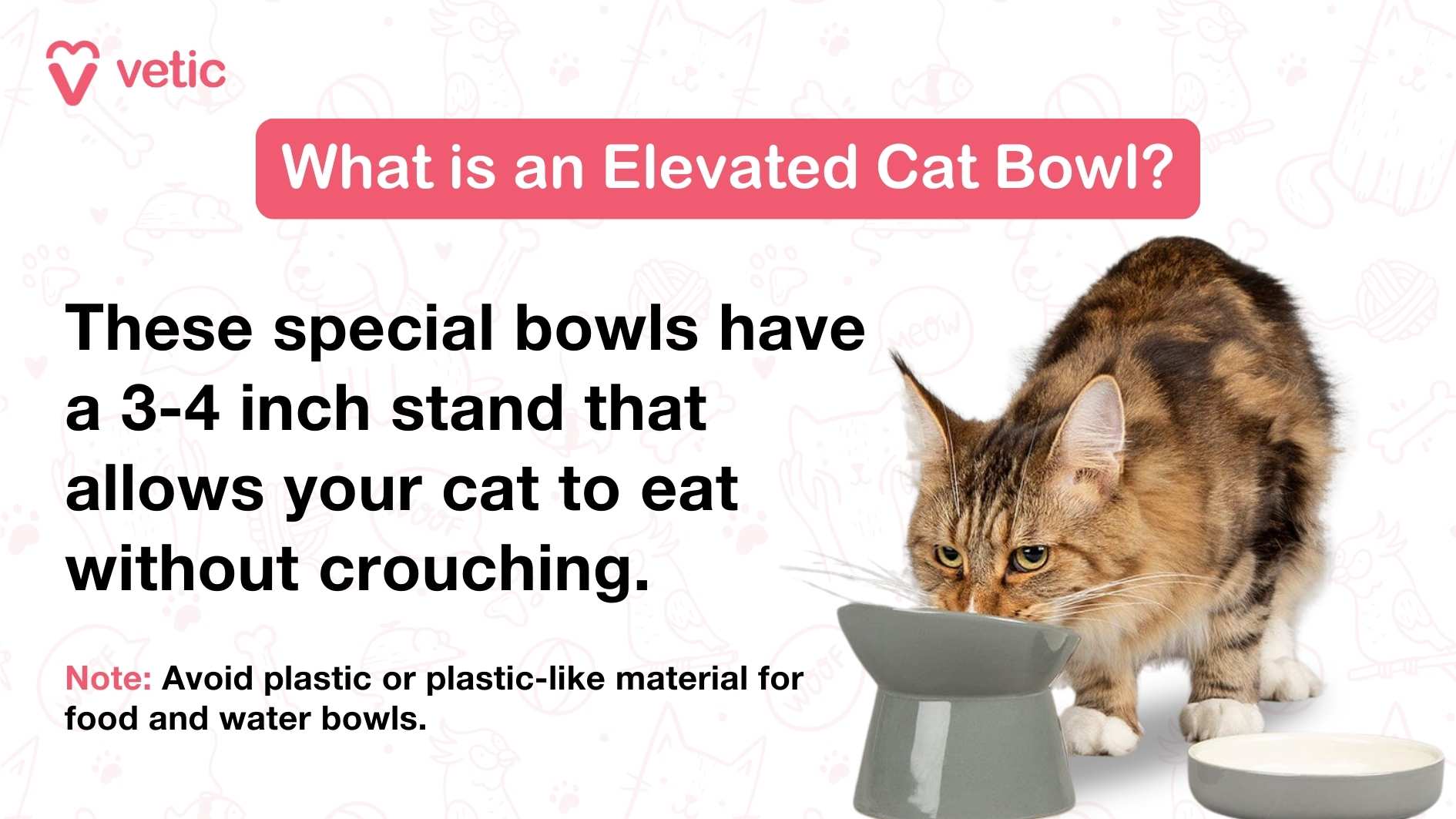 The image contains the following elements: The logo and name "vetic" in the top left corner. A pink box with white text inside it that reads: "What is an Elevated Cat Bowl?" Below the pink box, there is a larger text block that reads: "These special bowls have a 3-4 inch stand that allows your cat to eat without crouching." At the bottom of the text block, there is a note in smaller text that reads: "Note: Avoid plastic or plastic-like material for food and water bowls." On the right side of the image, there is a cat eating from an elevated bowl. The bowl is gray and has a stand that raises it off the ground. There is also a white bowl next to the elevated bowl.