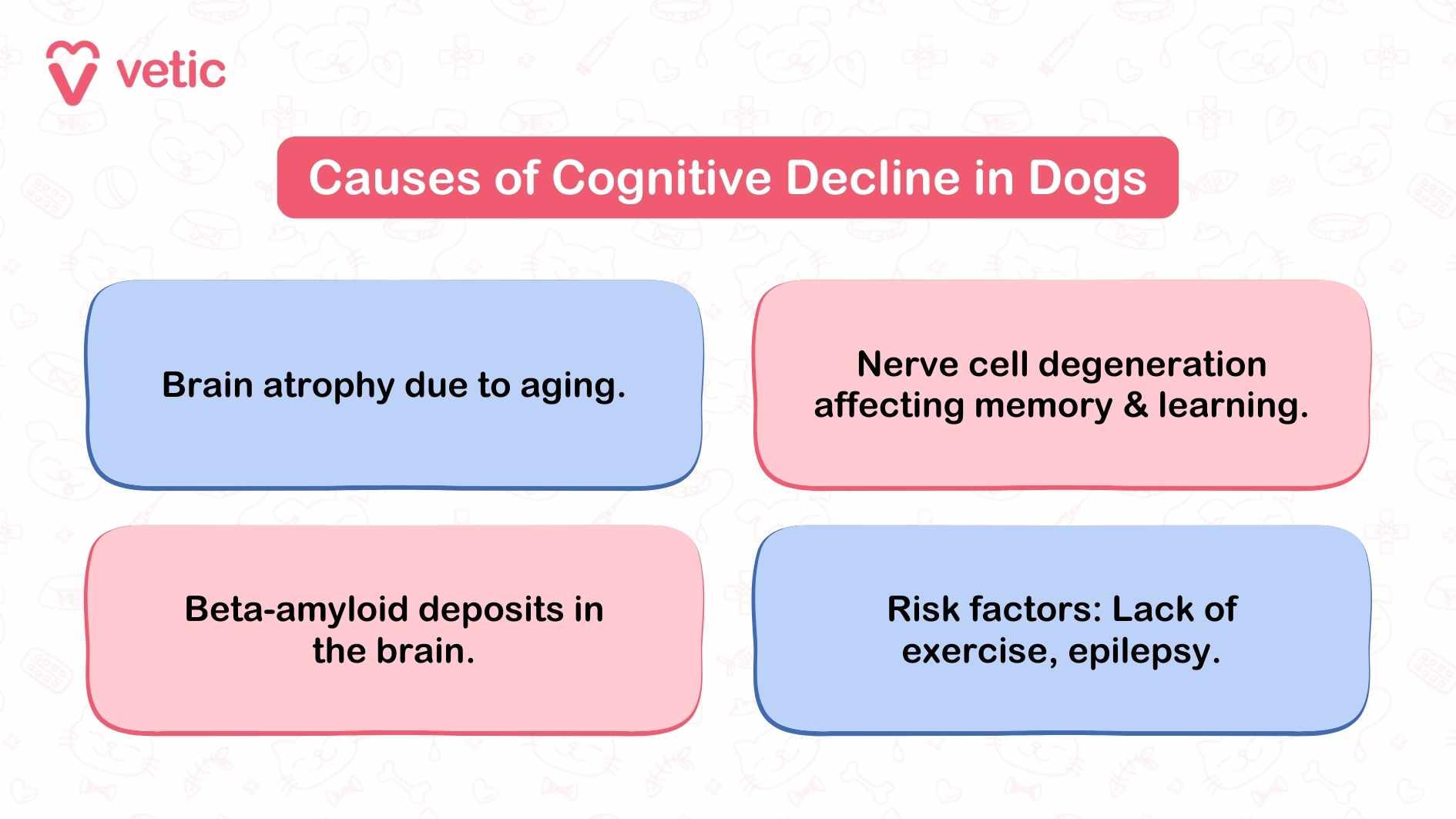 The infographic from Vetic is titled "Causes of Cognitive Decline in Dogs" and provides a clear overview of contributing factors. It highlights four main causes: Brain Atrophy Due to Aging: A natural process where the dog's brain shrinks over time, leading to memory and cognitive loss. Nerve Cell Degeneration: This affects memory and learning abilities, which are crucial areas impacted by cognitive decline in dogs. Beta-Amyloid Deposits in the Brain: The accumulation of these protein plaques is often associated with dementia in dogs, impairing brain functions. Risk Factors: Issues such as lack of exercise, epilepsy, and other health concerns may exacerbate dementia in dogs.