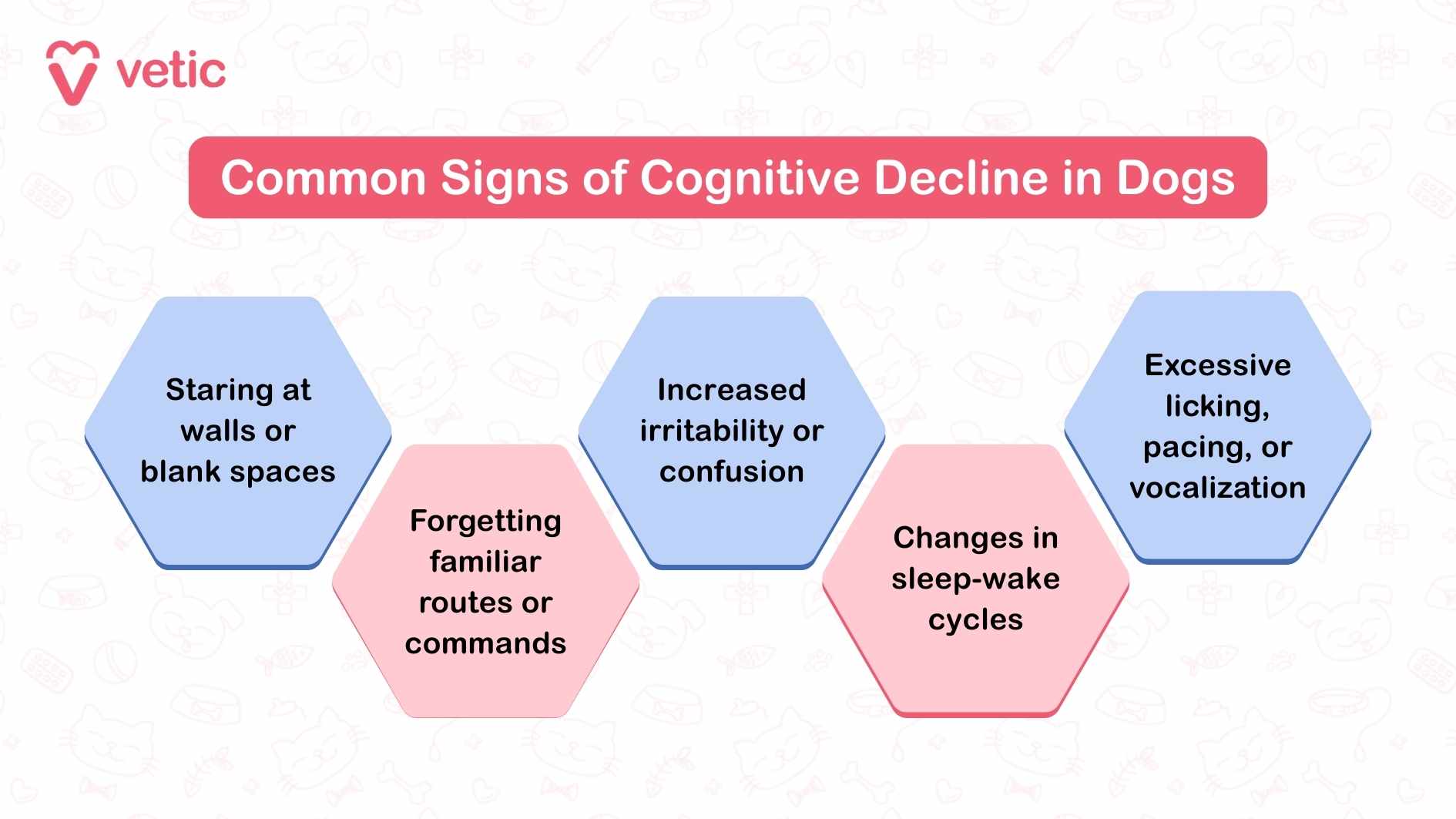 The image is an infographic from "Vetic", titled "Common Signs of Cognitive Decline in Dogs". It lists prominent signs to help dog owners identify potential dementia in dogs. The highlighted signs are: Staring at walls or blank spaces: A sign often linked to disorientation or confusion, which are indicators of cognitive decline in dogs. Forgetting familiar routes or commands: This showcases memory loss, a core symptom of dementia in dogs. Increased irritability or confusion: Behavioral changes like these are commonly associated with cognitive decline in dogs. Changes in sleep-wake cycles: A noticeable shift in sleeping habits could point to dementia in dogs. Excessive licking, pacing, or vocalization: These repetitive behaviors might be indicative of cognitive decline in dogs.