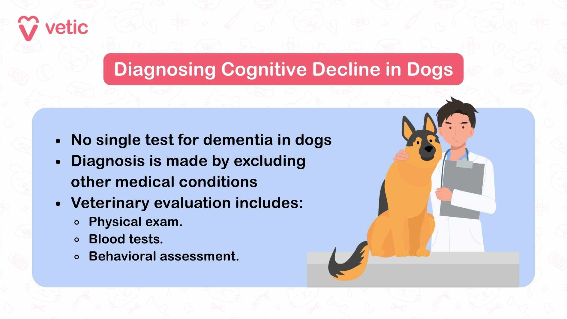 "dementia in dogs: Signs of cognitive decline in dogs": The image delves into the process of diagnosing cognitive decline in dogs. It presents a structured approach that includes: No Single Test: Highlights the fact that there is no definitive test for diagnosing dementia in dogs. Exclusion Methodology: Emphasizes that a diagnosis is made by ruling out other medical conditions with similar symptoms. Veterinary Evaluation: Outlines critical steps such as physical examinations, blood tests, and behavioral assessments to pinpoint cognitive decline in dogs. The visual depicts a veterinarian holding a clipboard, engaging closely with a dog, fostering a caring and professional atmosphere. This scene reinforces the collaborative effort between pet owners and veterinary professionals in addressing dementia in dogs. The inclusion of the "Vetic" logo adds credibility and brand association.
