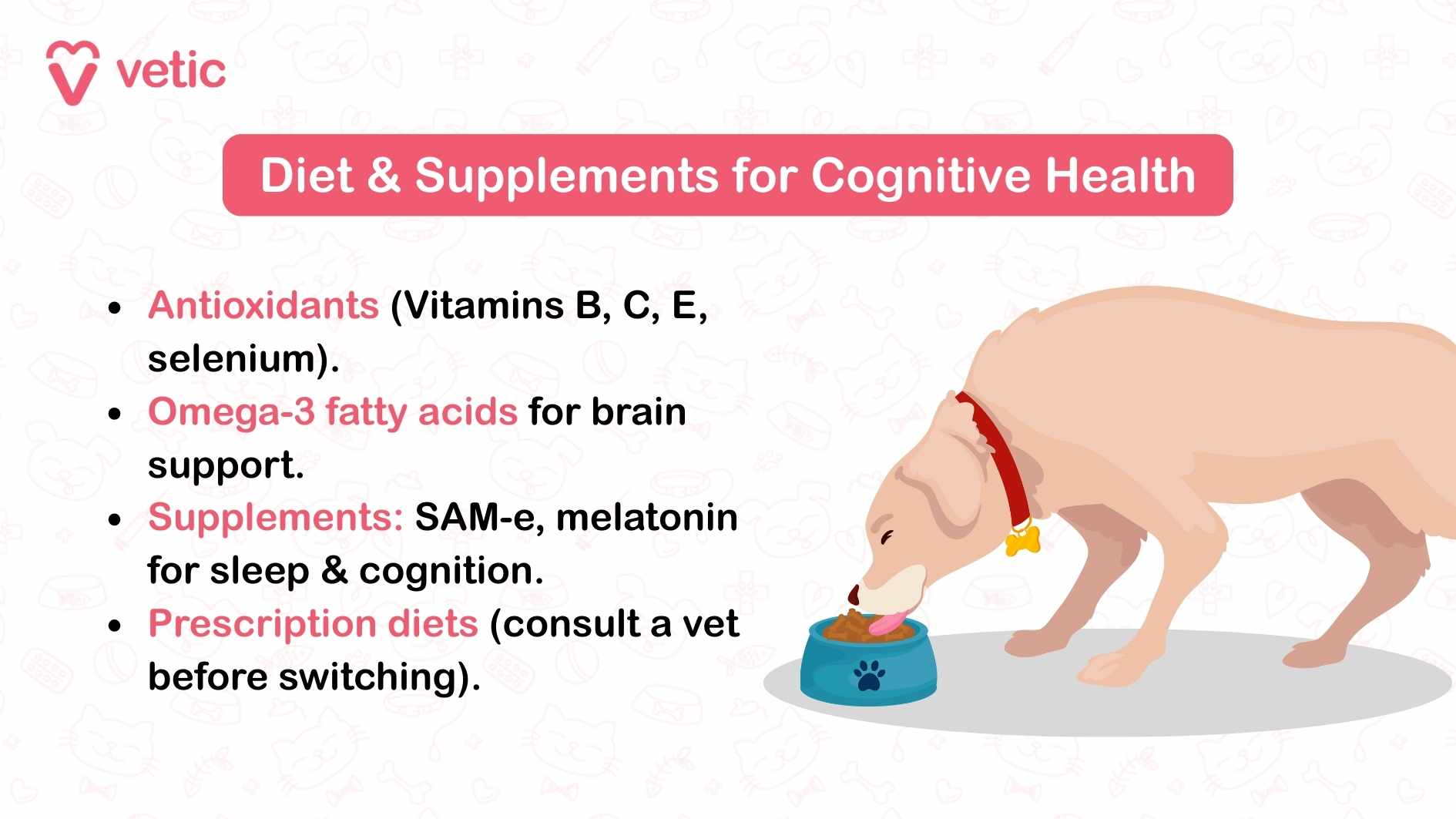 "Diet & Supplements for Cognitive Health", a critical aspect of managing dementia in dogs. It features a dog eating from a blue bowl with a paw print, symbolizing nutrition-focused care. The graphic outlines key nutrients and supplements to reduce cognitive decline in dogs. These include: Antioxidants (Vitamins B, C, E, selenium) to combat oxidative stress and protect brain health. Omega-3 Fatty Acids that provide essential support for the brain, crucial for addressing cognitive decline in dogs. Supplements like SAM-e and Melatonin to assist with sleep regulation and cognitive function, a common challenge for dogs with dementia. Prescription Diets, recommended under veterinary guidance, tailored to the needs of aging dogs.