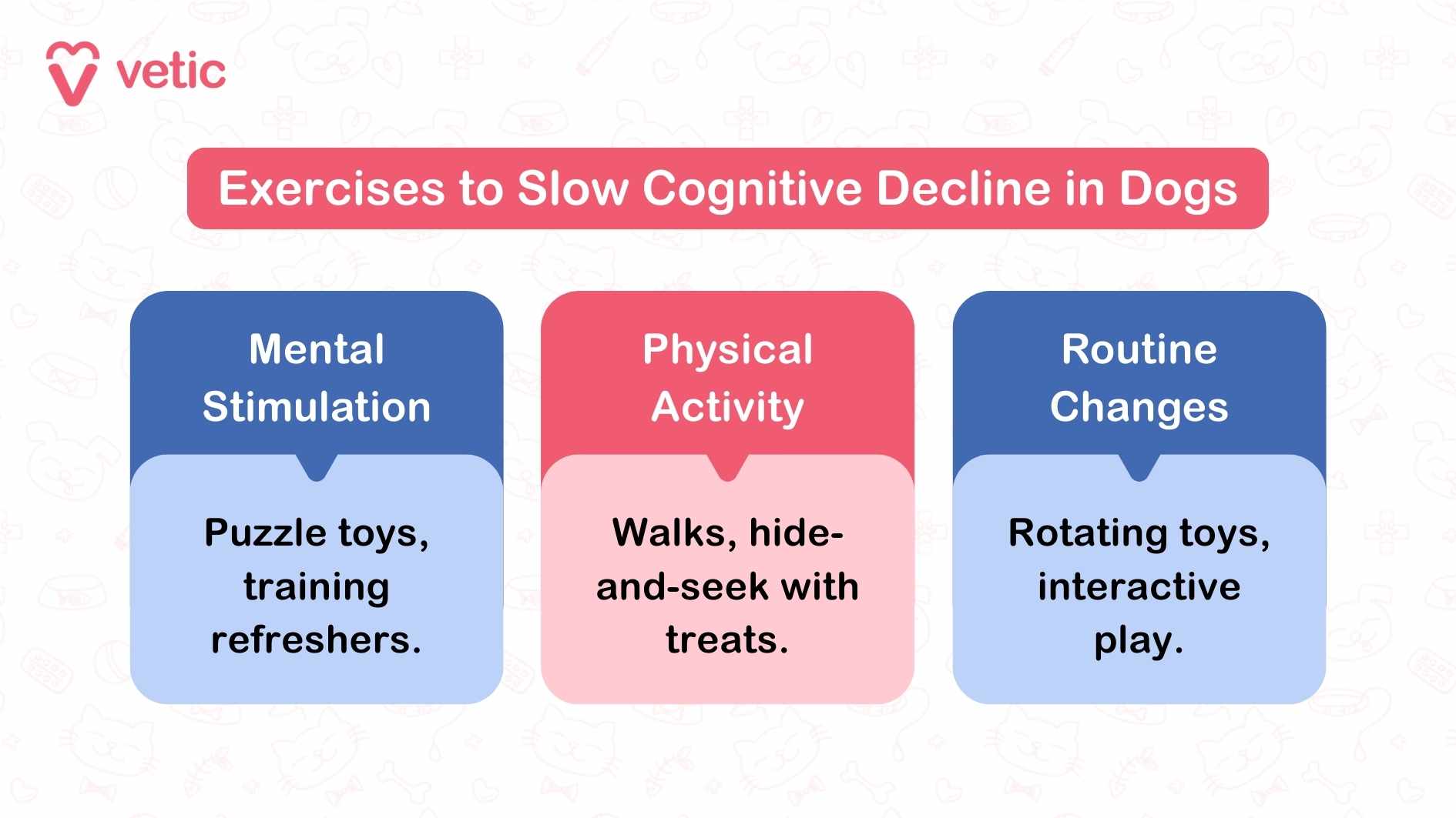 "Exercises to Slow Cognitive Decline in Dogs", created by Vetic. It is thoughtfully divided into three key sections to address dementia in dogs and provide strategies to mitigate cognitive decline in dogs: Mental Stimulation: This section emphasizes activities such as using puzzle toys and refreshing training exercises to engage a dog's mind and challenge their cognitive functions. Such stimulation is crucial for combating dementia in dogs. Physical Activity: Ideas like daily walks and playing hide-and-seek with treats are highlighted. These activities not only promote physical movement but also keep dogs mentally sharp, aiding in slowing cognitive decline in dogs. Routine Changes: Suggestions for rotating toys and incorporating interactive play aim to introduce new and enriching experiences for dogs. These changes help prevent cognitive stagnation, addressing dementia in dogs effectively.