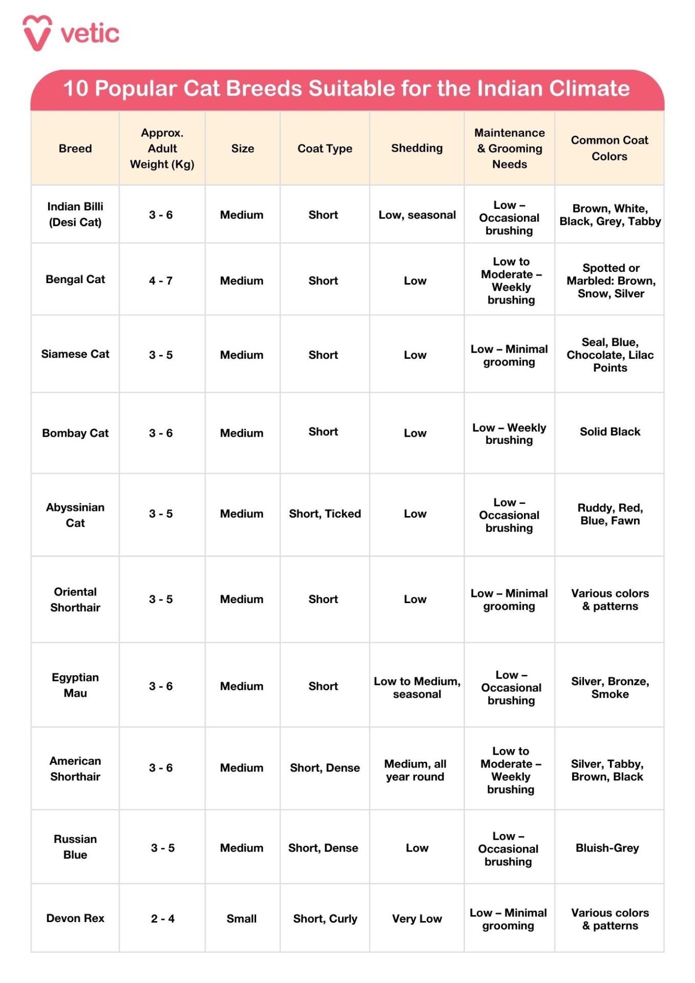 10 popular cat breeds in India suitable for the Indian Climate. The Indian Billi, or Desi Cat, is a small to medium-sized cat weighing 3 to 5 kilograms, with a short, single coat that sheds minimally all year round. They require very little grooming and are commonly seen in brown, grey, black, orange, and white. Bengal Cats are medium to large in size, weighing 4 to 7 kilograms, with a short, soft coat that sheds minimally year-round. They need occasional grooming and are typically found in spotted or marbled patterns like brown, snow, or silver. Siamese Cats weigh between 3 and 6 kilograms and are small to medium in size. They have a short, fine coat that sheds moderately all year round and need low grooming maintenance. They are usually cream or fawn with black, brown, or grey points. Bombay Cats are medium-sized cats, weighing 2.5 to 5 kilograms, with a short, sleek black coat that sheds minimally and is easy to maintain. Abyssinian Cats are small to medium cats, weighing 2.5 to 4.5 kilograms, with a short, fine ticked coat that sheds lightly and seasonally. They need minimal grooming and are commonly golden brown with darker tips. Oriental Shorthairs weigh 3 to 5 kilograms and are medium in size, with a short, sleek coat that sheds lightly all year round and requires little grooming. They come in a wide range of colours including white, grey, tabby, black, and chocolate. Egyptian Maus are small to medium cats, weighing 3.5 to 5 kilograms, with a short, spotted coat that sheds seasonally and needs occasional grooming. Their common coat colours include silver, bronze, and smoke. American Shorthairs are medium to large cats weighing 4 to 6 kilograms. They have a short, dense coat that sheds seasonally and needs moderate grooming. Their coat colours include silver tabby, black, white, brown, and cream. Russian Blues are medium-sized cats, weighing 3.5 to 6 kilograms, with a short, plush double coat that sheds lightly all year round and needs occasional grooming. Their typical colour is silvery-blue or grey. Lastly, Devon Rex cats are small cats weighing 2.5 to 4 kilograms, with a short, soft, curly coat that sheds very little all year round. They need minimal grooming and are often found in colours like black, white, orange, or Siamese-patterned.