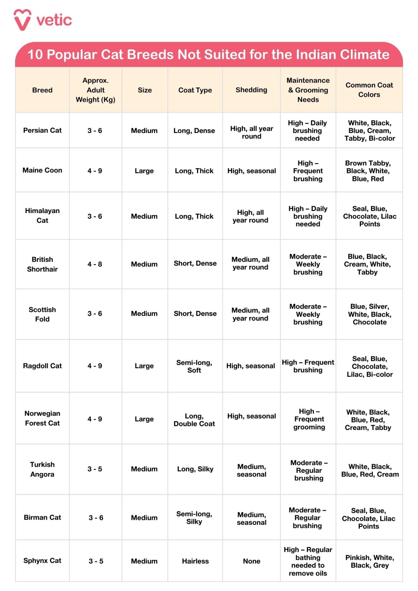 10 popular cat breeds in India unsuitable for the Indian Climate. The Persian Cat is a small to medium-sized breed weighing between 3 and 5.5 kilograms, with a long, dense coat that sheds heavily and needs daily grooming; it comes in colors like white, cream, black, grey, and chocolate and is highly sensitive to heat. The Maine Coon is a large cat, weighing 5.5 to 8 kilograms or more, with a thick, double coat that sheds seasonally and needs frequent grooming; it appears in colors such as brown tabby, cream, black, and white, and struggles in hot climates. Himalayan Cats weigh between 3.5 and 6 kilograms and have a long, silky coat similar to Persians, with heavy shedding, daily grooming needs, and point colorations like cream, grey, and chocolate; they are not suited for warm weather. British Shorthairs weigh 4 to 7 kilograms and have a thick short coat that sheds moderately to heavily, needing weekly brushing; they come in blue-grey, cream, white, black, and golden, and can be uncomfortable in Indian heat. Scottish Folds weigh between 2.5 and 6 kilograms, have a short, dense coat with moderate shedding, need occasional grooming, and come in colors like blue, lilac, and white; their health issues may worsen in hot climates. Ragdolls are large cats, weighing 4 to 9 kilograms, with semi-long silky fur that sheds moderately and requires frequent grooming; they are typically cream, lilac, grey, or chocolate and are prone to overheating. Norwegian Forest Cats weigh 4.5 to 8 kilograms, with a thick double-layered coat that sheds heavily and needs regular grooming; they appear in white, tabby, cream, and black and are adapted to cold climates, making them unsuitable for Indian heat. Turkish Angoras weigh 2.5 to 5 kilograms and have medium to long silky fur that sheds moderately and needs regular brushing; they are usually white or found in cream, grey, and black and are prone to heat stress and genetic conditions. Birman Cats weigh 3 to 5.5 kilograms, have a long soft coat that sheds moderately and needs weekly grooming, are commonly cream, grey, lilac, or chocolate with white paws, and are sensitive to warm climates. Lastly, the Sphynx Cat, weighing 3 to 6 kilograms, is hairless but prone to sunburn, skin infections, and overheating; it requires daily cleaning and comes in colors like pink, peach, grey, and black, making it high-maintenance in hot and humid conditions.