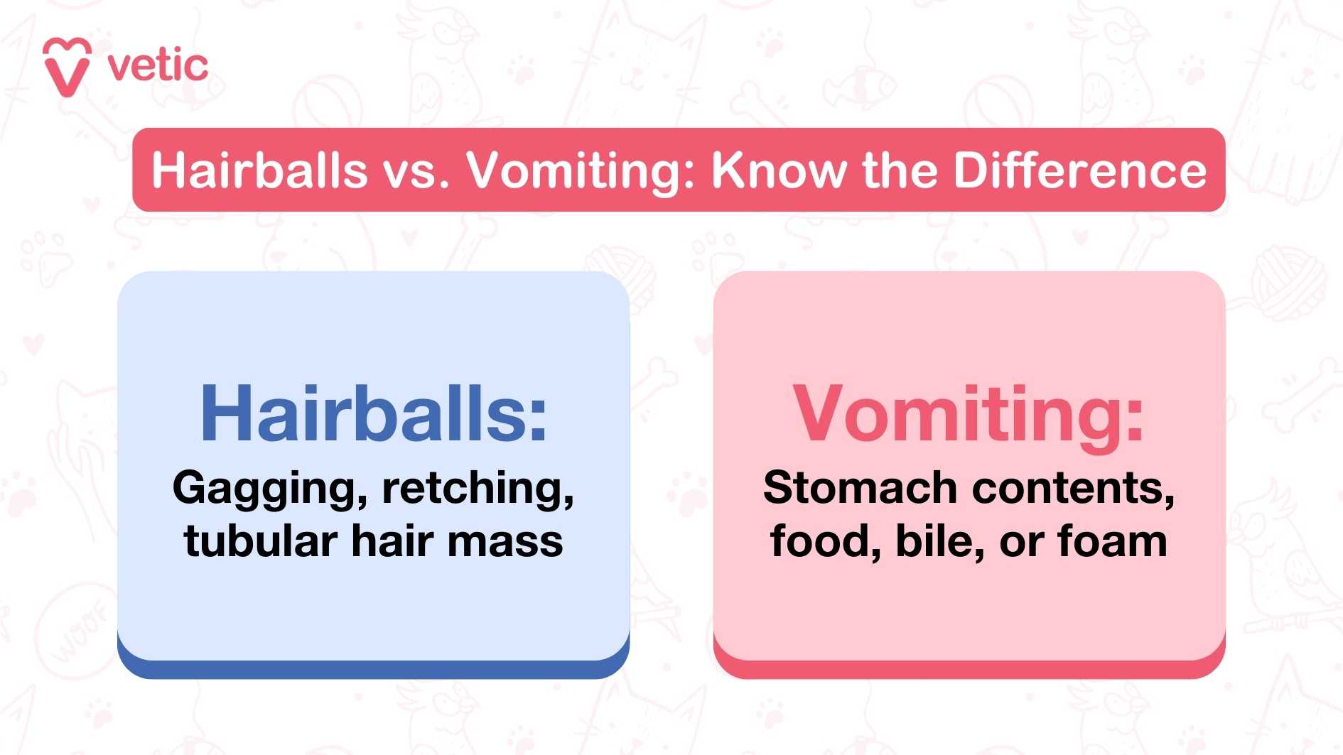 On the left side, under the label "Hairballs in cats," the image highlights symptoms such as gagging, retching, and the expulsion of a tubular hair mass. The right side, labeled "Vomiting," explains that vomiting involves stomach contents like food, bile, or foam. This visual guide helps pet owners understand the difference between hairballs and vomiting, making it easier to identify whether their cat is experiencing a common grooming-related issue or something that may require medical attention.