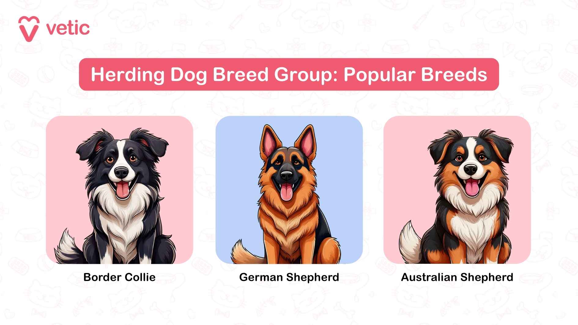 The image you've uploaded is titled "Herding Dog Breed Group: Popular Breeds" and includes illustrations of three popular herding dog breeds: Border Collie: Known for their remarkable intelligence and agility, this breed is an extraordinary working dog. German Shepherd: A highly versatile breed, celebrated for its loyalty and strength in roles such as service, search-and-rescue, and herding. Australian Shepherd: Recognizable for its multicolored coat and energetic demeanor, ideal for herding and companionship.