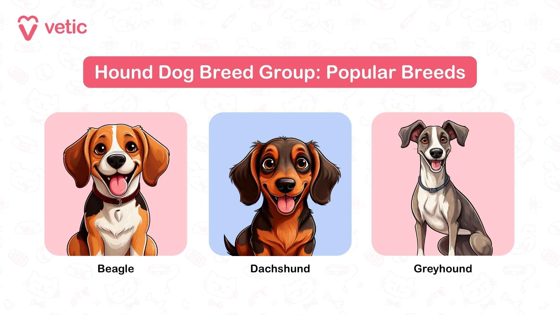 The image you've uploaded is titled "Hound Dog Breed Group: Popular Breeds" and features three charming cartoon illustrations of hound breeds: Beagle: Depicted as lively and adorable, this breed is celebrated for its keen sense of smell and friendly disposition. Dachshund: Known for its long body and courageous nature, portrayed here with a fun and energetic vibe. Greyhound: Iconic for its speed and sleek build, shown as graceful and majestic.