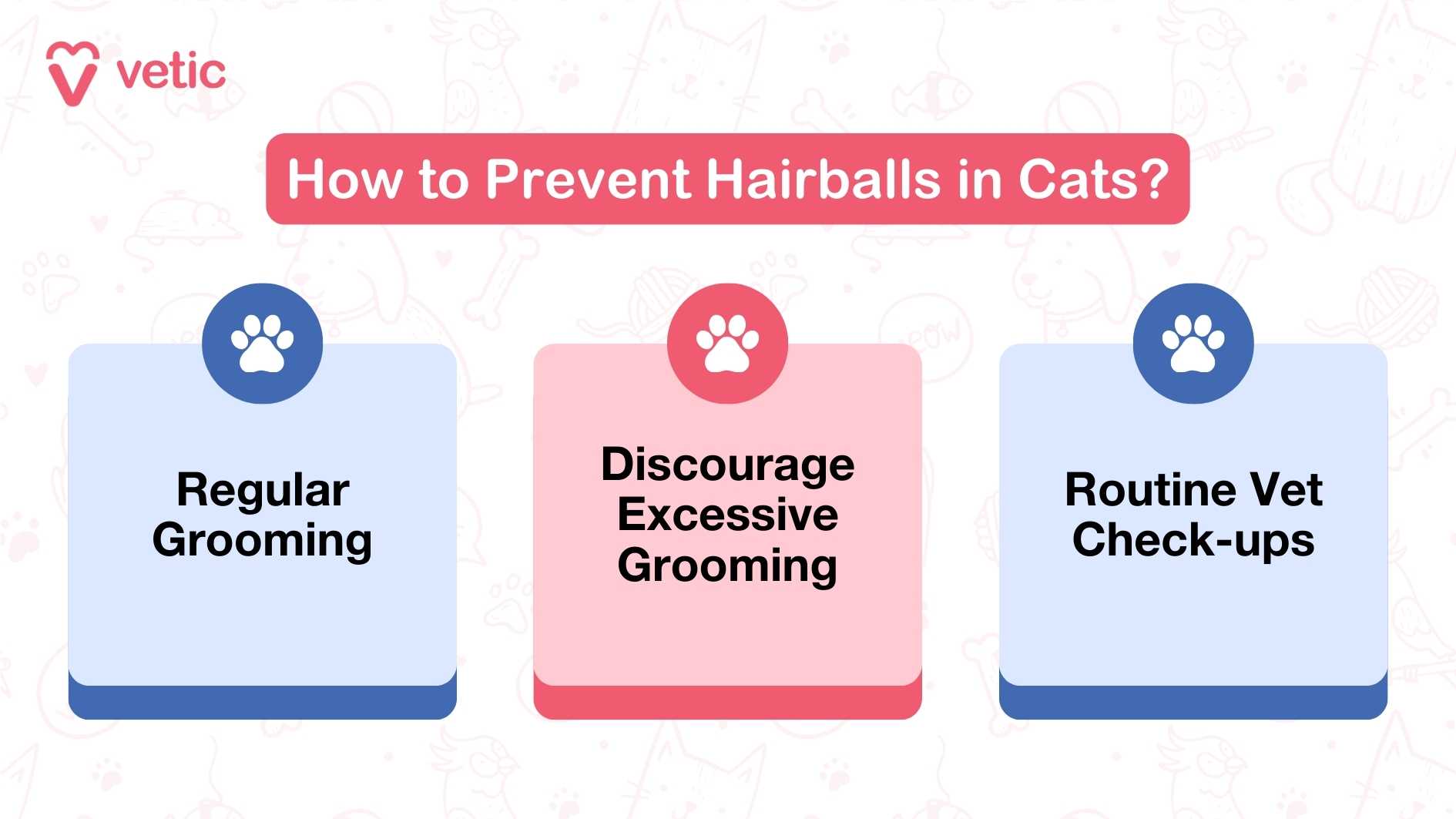This image from Vetic is an informative graphic on How to Prevent Hairballs in Cats. It is divided into three key sections, each marked with a paw icon at the top: Regular Grooming – Brushing your cat frequently helps remove loose fur before it can be swallowed. Discourage Excessive Grooming – Providing enrichment, playtime, and distraction techniques can reduce over-grooming habits. Routine Vet Check-ups – Regular visits to the vet can help monitor your cat’s health and ensure hairballs don’t lead to digestive issues.