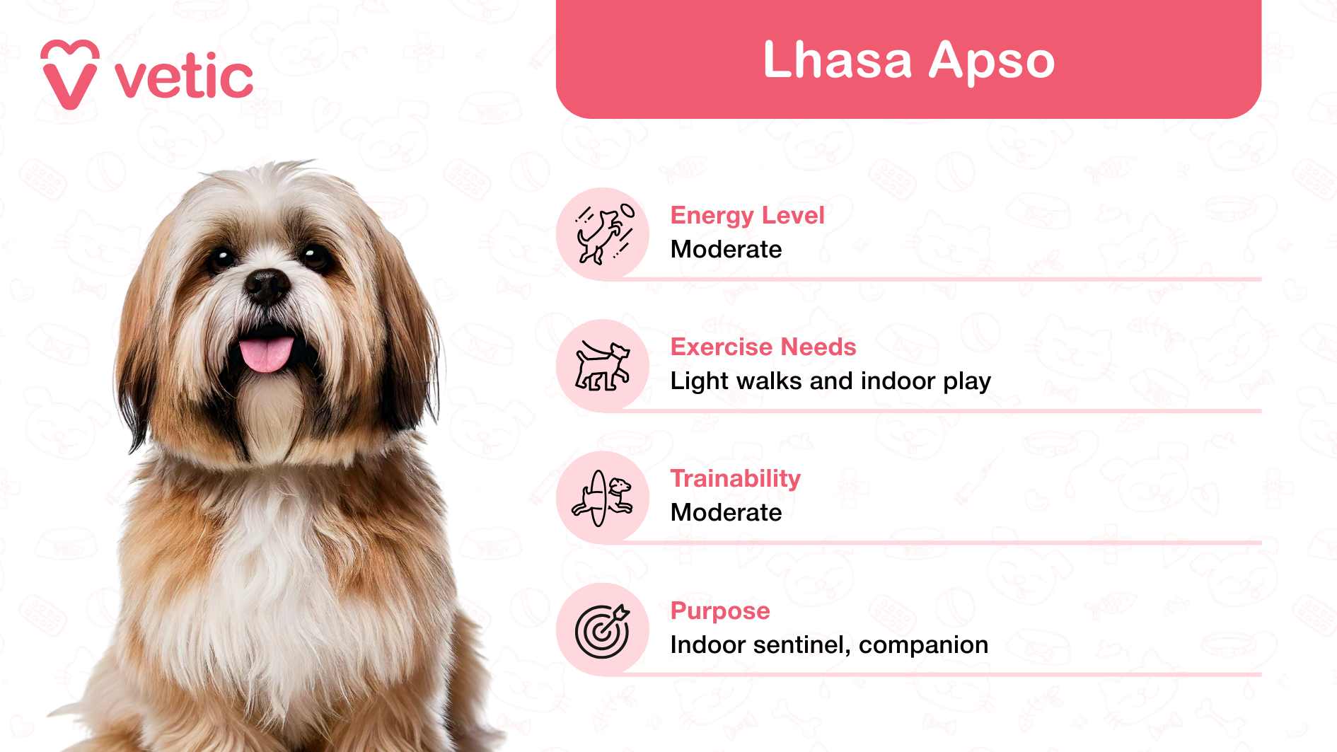 The image features a Lhasa Apso, celebrated as a family and kid-friendly dog breed in India, for its loyal and loving demeanor. The dog is portrayed with a distinct appearance—a flowing coat and alert posture—that signifies the breed's iconic elegance and attentiveness. The backdrop showcases playful patterns of pet-related icons, contributing to a cheerful and engaging design. A pink box on the right side highlights essential details about the Lhasa Apso breed: Energy Level: Moderate, making it ideal for families seeking a manageable and calm pet. Exercise Needs: Requires light walks and indoor play, perfect for homes with limited outdoor space. Trainability: Moderate, suggesting patience during training sessions for optimal results. Purpose: Originally bred as indoor sentinels, now cherished as loyal and protective family companions.