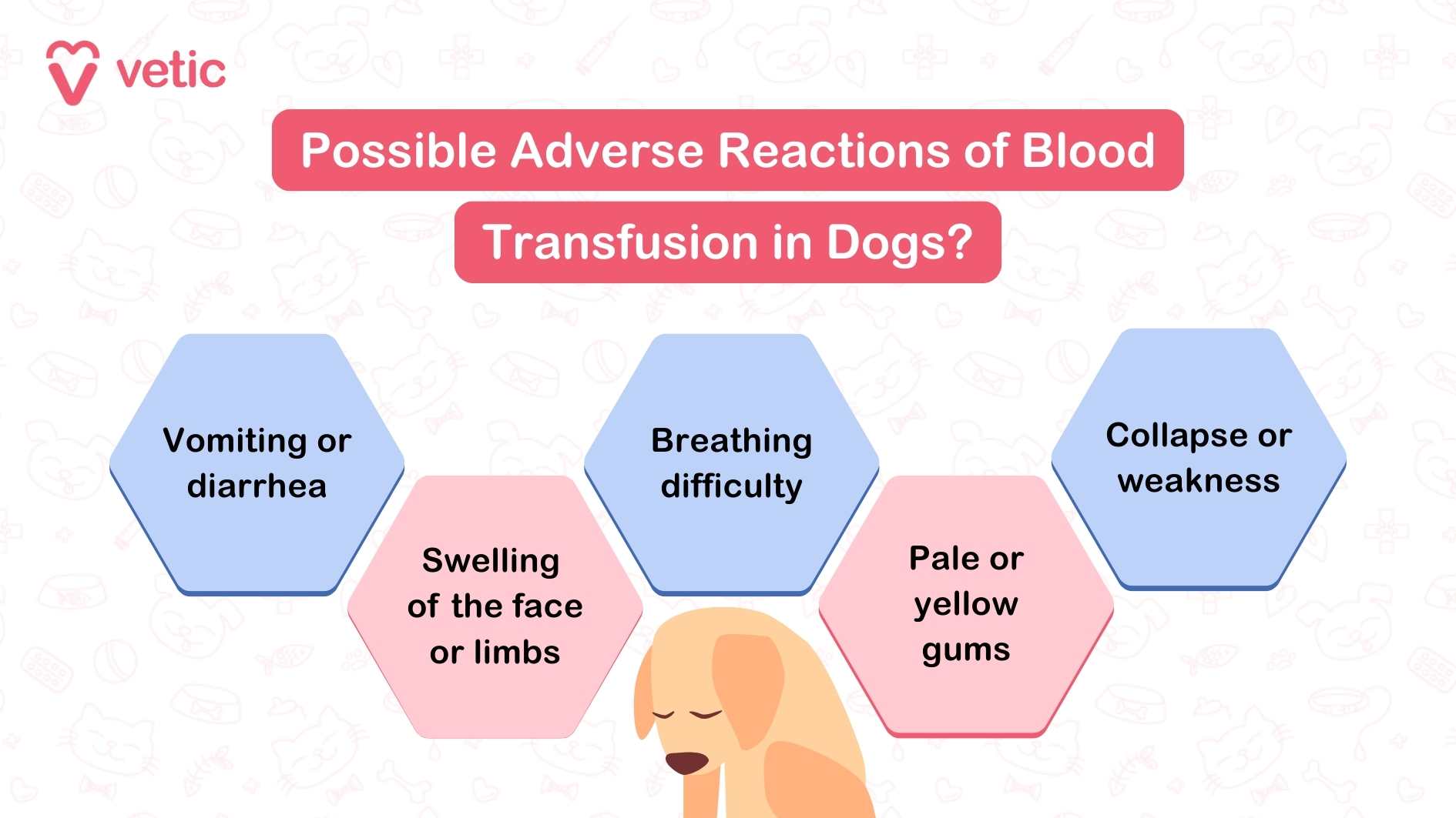 Possible Adverse Reactions of Blood Transfusion in dogs Vomiting or diarrhea Swelling of the face or limbs Breathing difficulty Pale or yellow gums Collapse or weakness