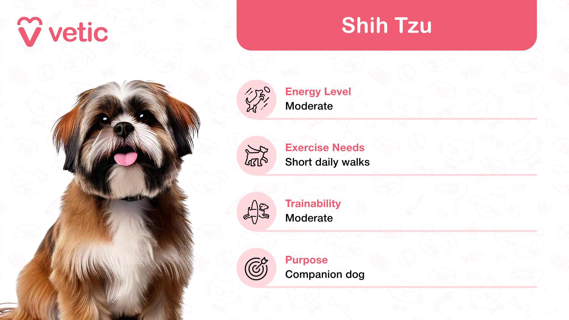 a Shih Tzu, adored as one of the family and kid-friendly dog breeds in India for its affectionate nature and manageable size. This breed, known for its charming personality, is depicted in the center with its signature long, silky fur. The background features an artistic array of pet-themed icons, bringing vibrancy and a sense of joy to the image. In the top left corner, the "Vetic" logo reinforces the professional tone of the design. Meanwhile, a bright pink box on the top right highlights "Shih Tzu," followed by concise information: Energy Level: Moderate, making them perfect for families with a balanced routine. Exercise Needs: Short daily walks suffice, ideal for homes with limited outdoor space. Trainability: Moderate, suggesting they require gentle and patient training methods. Purpose: Companion dog, reflecting their innate loyalty and loving disposition.