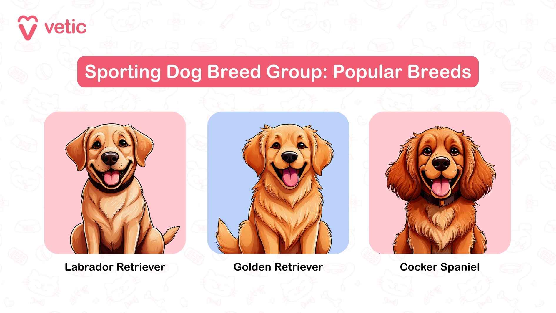 This image is titled "Sporting Dog Breed Group: Popular Breeds" and features three delightful illustrations of sporting dog breeds: Labrador Retriever: A friendly and versatile dog, well-loved for its companionship and work abilities. Golden Retriever: Famous for its striking golden coat and gentle nature, a perfect family companion. Cocker Spaniel: A smaller breed with elegant features and an affectionate personality, ideal for hunting and play.