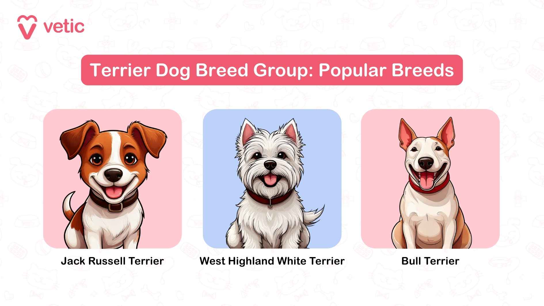 The image you've uploaded is titled "Terrier Dog Breed Group: Popular Breeds." It showcases three different terrier breeds side by side: Jack Russell Terrier: On the left, partially blurred but still identifiable, this breed is known for its high energy and athleticism. West Highland White Terrier (Westie): At the center, a lively and cheerful dog with a white coat—a favorite among families. Bull Terrier: On the right, with its distinctive egg-shaped head and mischievous smile, this breed is playful and protective.