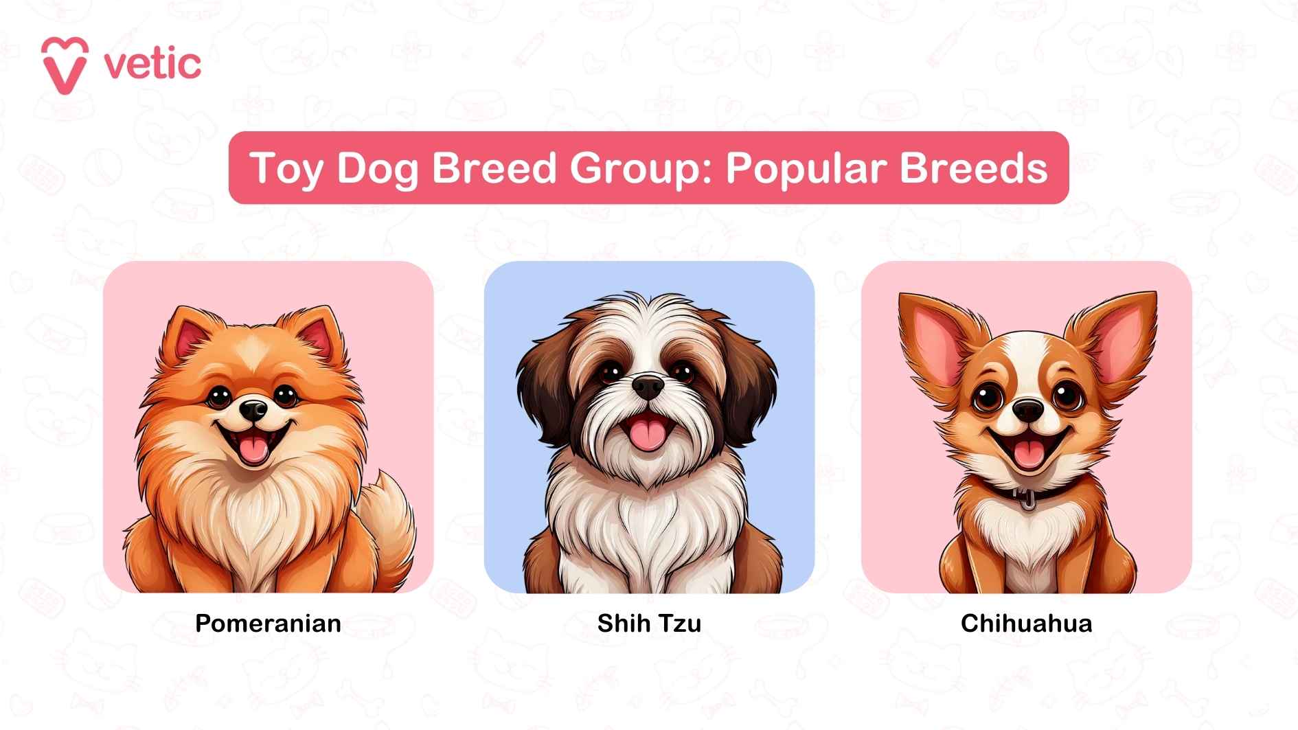 The image you've uploaded is titled "Toy Dog Breed Group: Popular Breeds" and features cartoon illustrations of three adorable toy dog breeds: Pomeranian: A fluffy, lively dog often likened to a tiny lion because of its abundant fur. Shih Tzu: Distinct with its regal demeanor and long, flowing coat, historically favored by royalty. Chihuahua: The smallest of all dog breeds, feisty and charming with its trademark large ears.