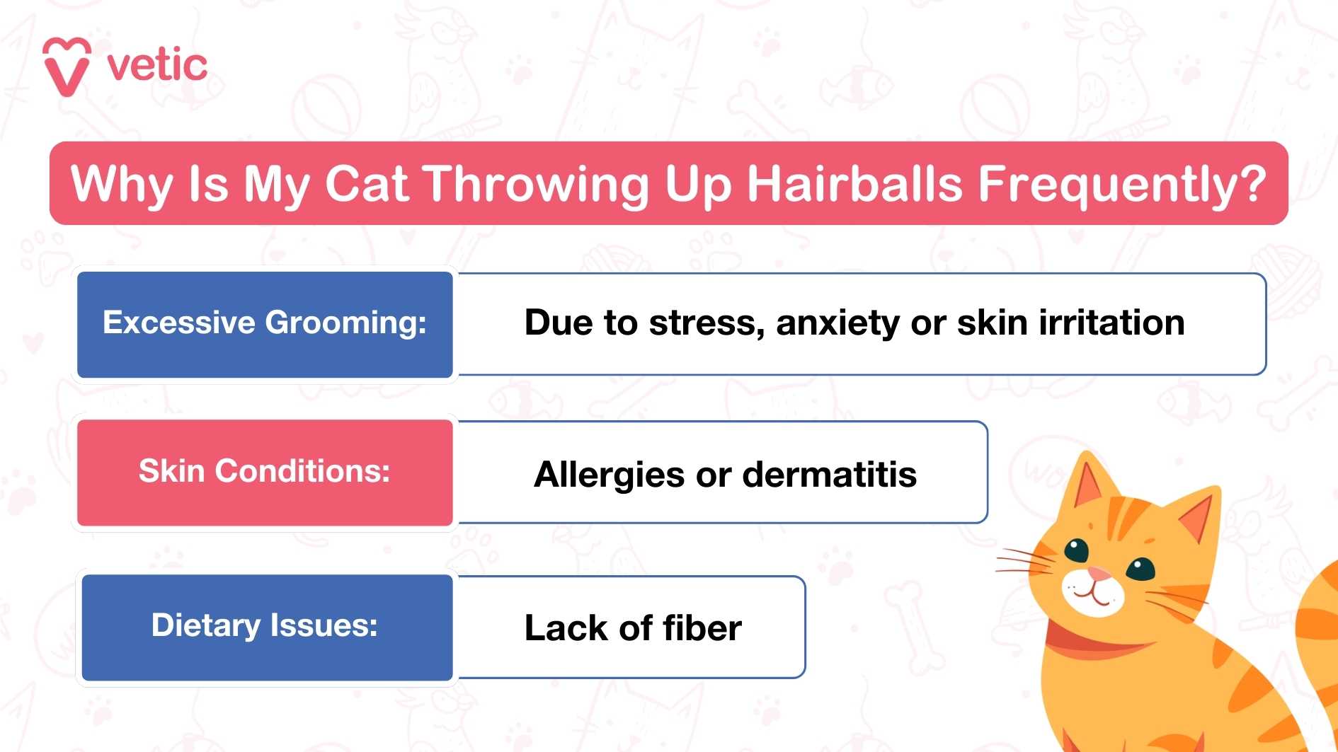 This image from Vetic is an informational graphic addressing Hairballs in cats and explaining why a cat might be throwing up hairballs frequently. The title at the top reads: "Why Is My Cat Throwing Up Hairballs Frequently?" Below, the image presents three possible reasons: Excessive Grooming – Cats may over-groom due to stress, anxiety, or skin irritation. Skin Conditions – Allergies or dermatitis can cause excessive shedding, increasing hairball formation. Dietary Issues – A lack of fiber in a cat’s diet can make it harder for swallowed hair to pass naturally.