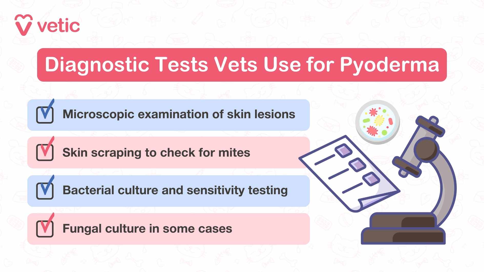 What the the diagnostic tests used by veterinarians to diagnose the cause(s) of bacterial skin infections in cats or pyometra? Microscopic examination of skin lesions or cytology Skin scraping to check for mites Bacterial culture and sensitivity testing Fungal culture in some cases