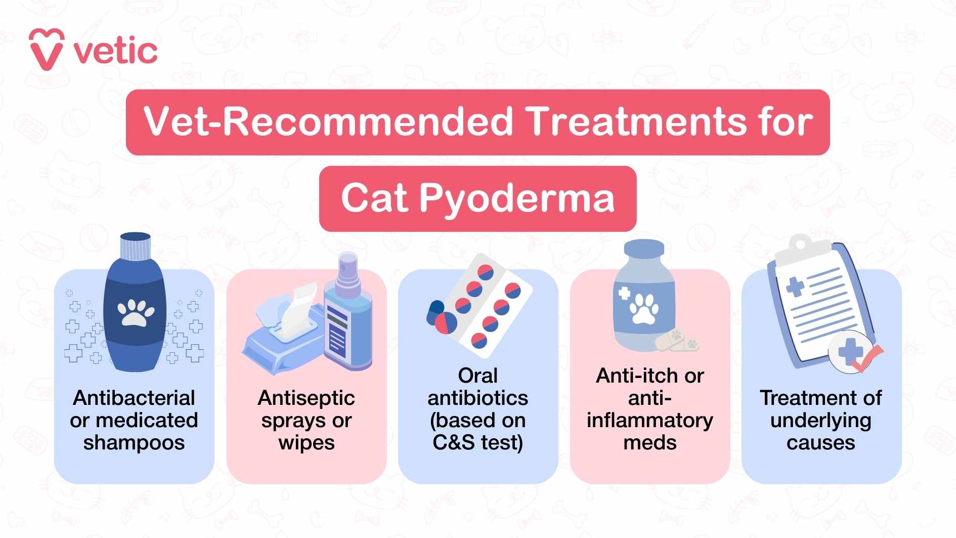 So, if your cat has skin infections, what are some of the common vet-recommended treatments for skin infections in cats or pyoderma? antimicrobial or medicated shampoos, antimicrobial wipes and sprays, oral antibiotics, anti-inflammatory medication and, of course, the treatment of all underlying causes which may include hypothyroidism or Cushing's disease.