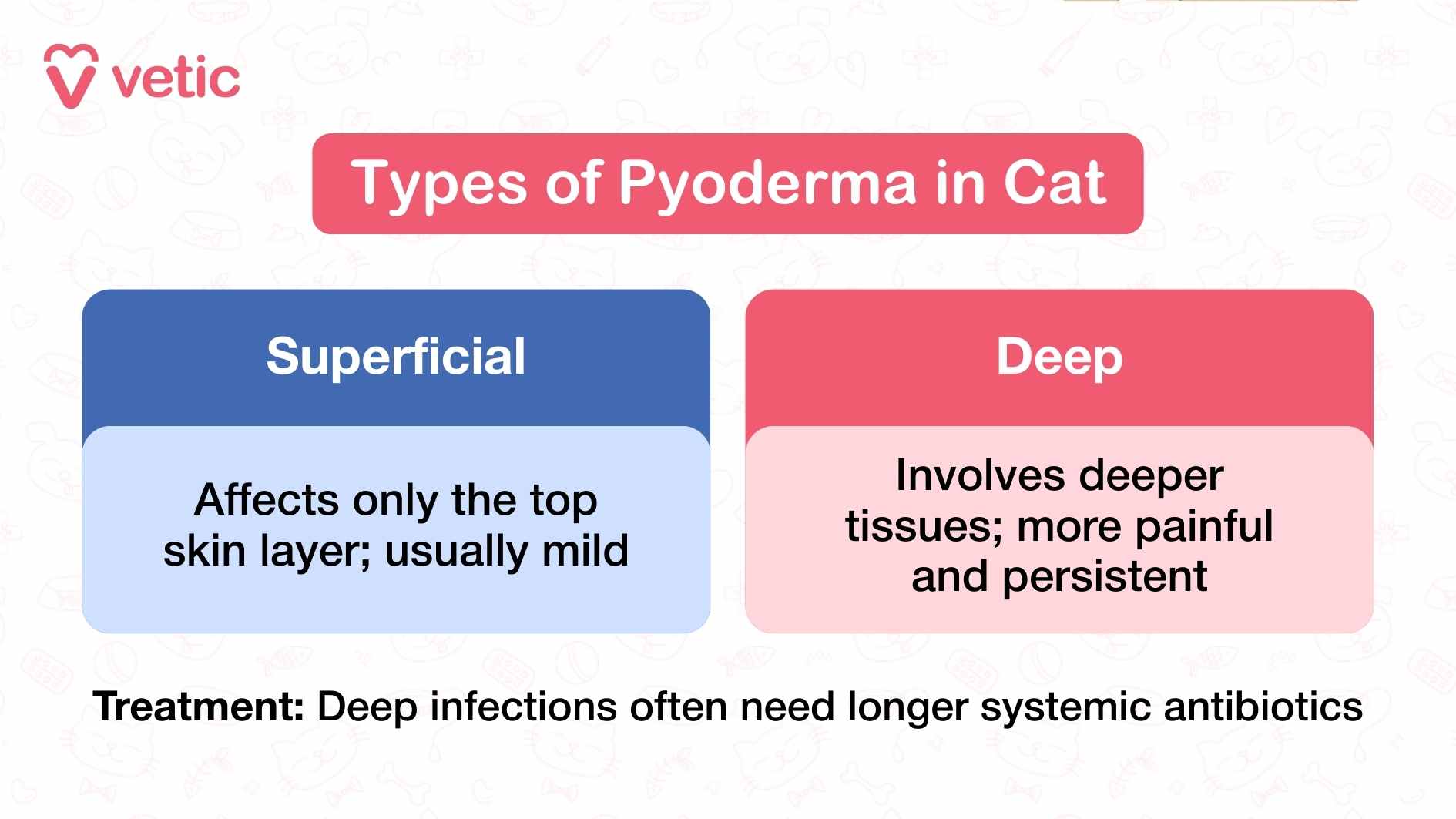 What are the different types of pyoderma in cats? Superficial - this includes the bacterial skin infections that affect on the top of the skin layer and are usually mild. the other type is deep pyoderma, which involves the deeper layers of the skin and are persistent. deep pyoderma often requires oral or systemic antibiotics for prolonged periods.