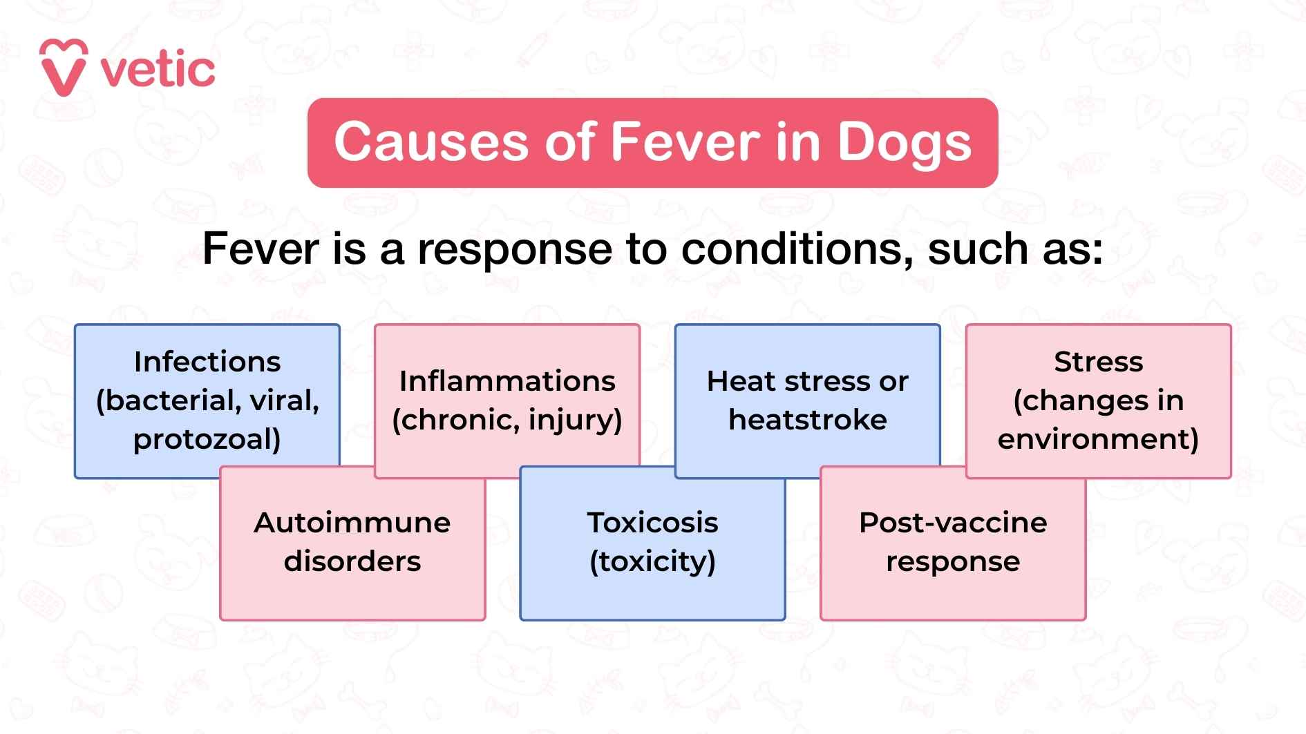 an informative illustration on causes of fever in dogs. the text reads "fever is a response to conditions, such as: infections, (bacterial, viral, protozoal), autoimmune disorders, inflammations (Chronic, injuries), toxicosis (toxicity), heat stress or heatstrokem post-vaccine response, stress (changes in environment).