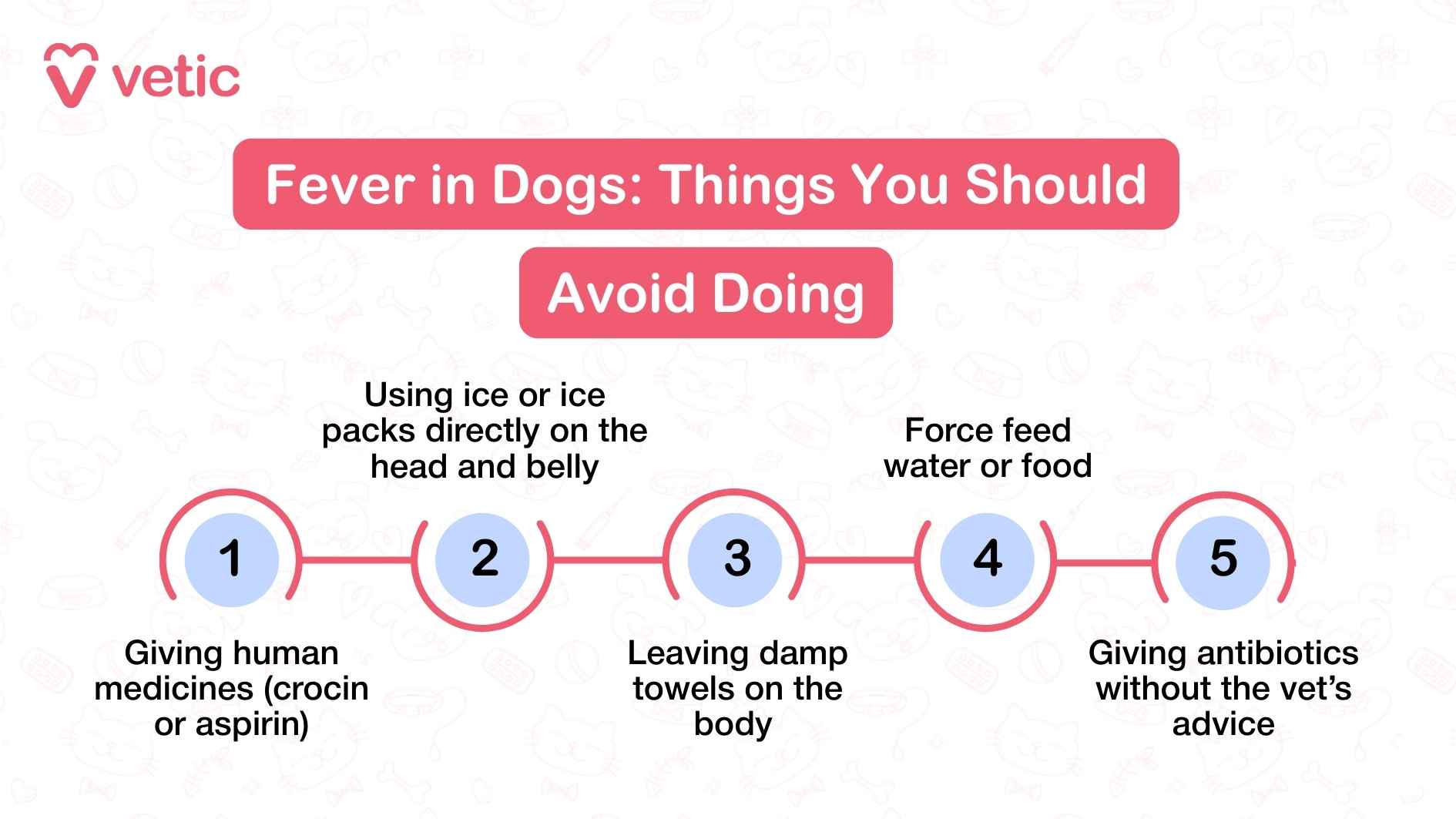 Infographic illustration by Vetic on things you should never do if your dog has a fever. the header says, "Fever in Dogs: Things You Should Avoid Doing" and then there are points from 1 to 5 stating what you must avoid doing, such as, giving human medicines (crocin, paracetamol or aspirin), using ice or ice packs directly, leaving damp towels on the body, force feeding water or food, giving antibiotics without consulting the vet.