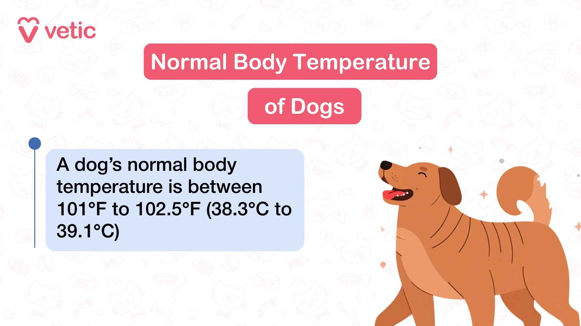 An illustration by Vetic showcasing a happy brown dog walking with their head and tail held high. the image contains the header "Normal Body Temperature of Dogs" - A dog's normal body temperature is between between 101°F and 102.5°F (approximately 38.3°C to 39.1°C).