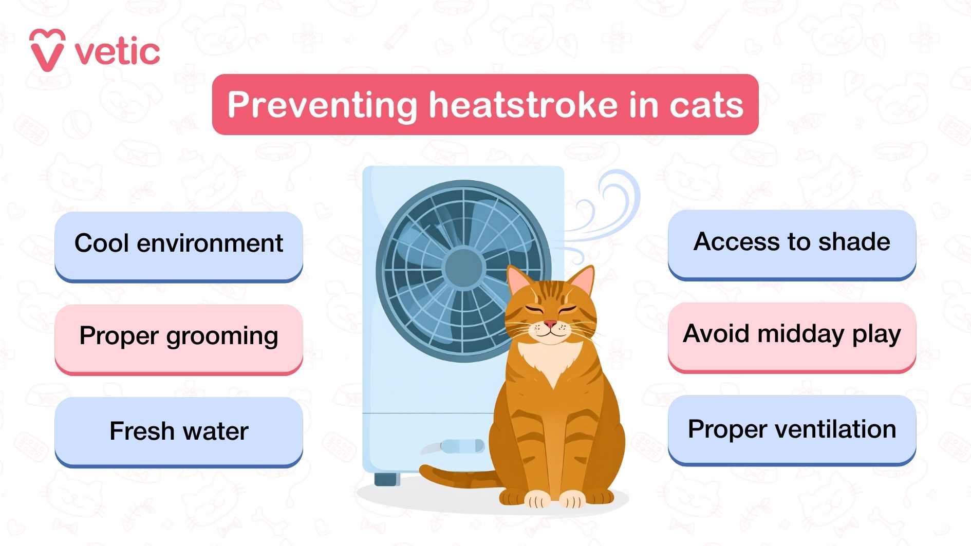 The image is an informational guide for cat parents by Vetic. It bears the title "preventing heatstroke in cats" it shows an orange cat with stripes sitting happily and comfortably in front of a cooler emitting cool air, as represented by cool air waves. The image has 6 short points to help prevent heatstroke in cats - provide a cool environment, provide proper grooming, give them fresh water, allow access to shade, avoid midday play and ensure proper ventilation
