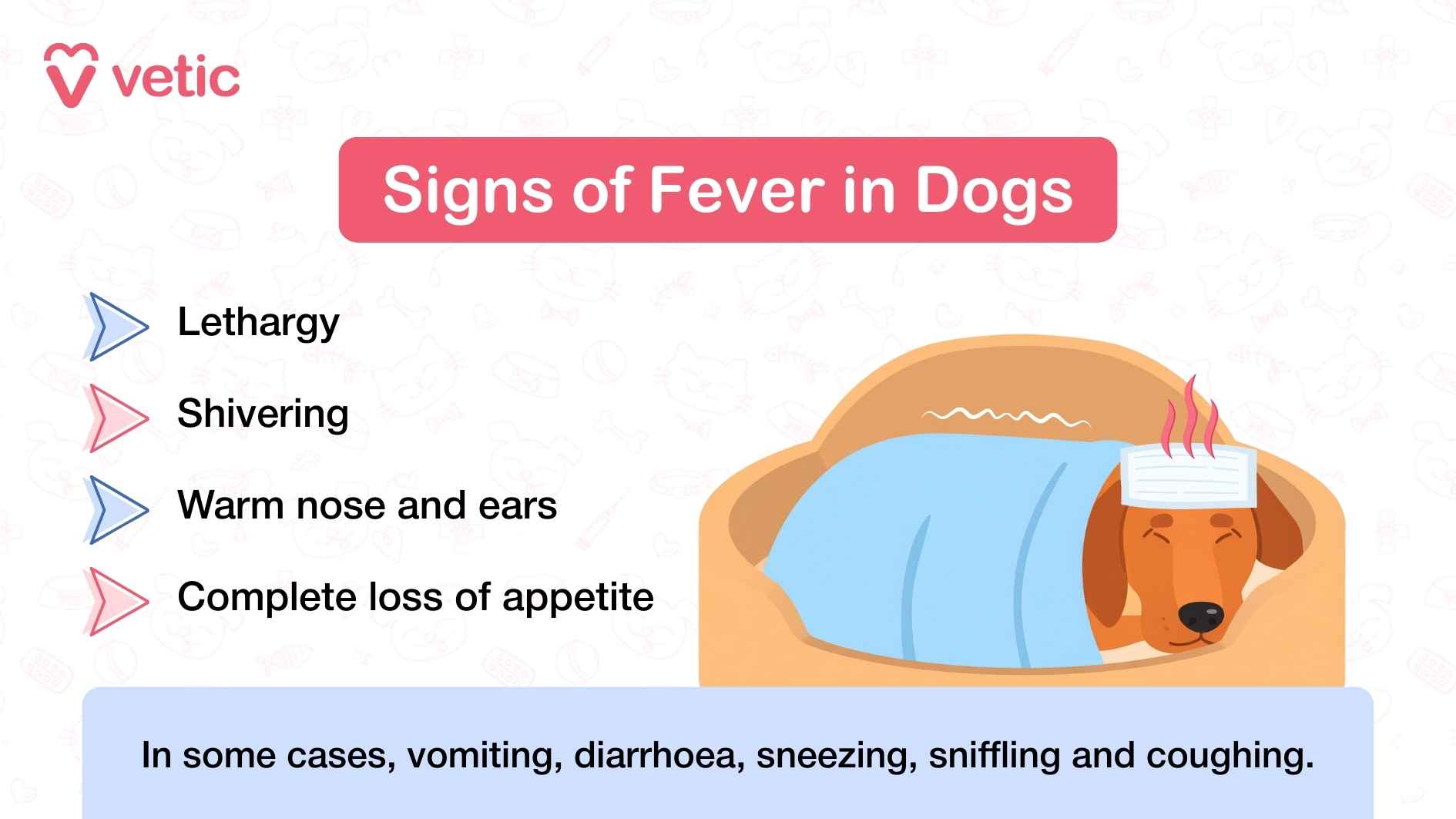 What are the signs of fever in dogs? Lethargy Shivering Warm nose and ears Complete loss of appetite In some cases, vomiting, diarrhoea, sneezing, sniffling and coughing.