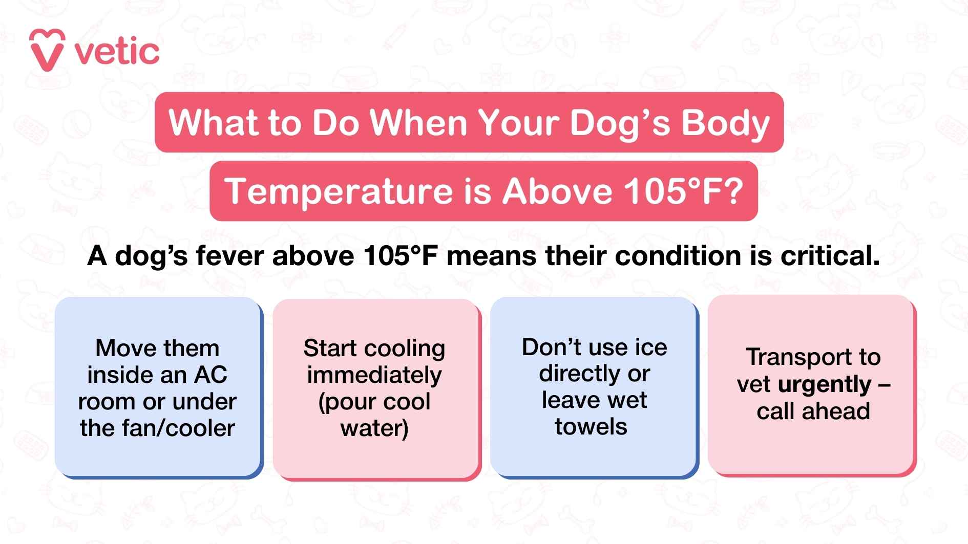 An informative graphic on what you should do when your dog has a fever of over 105°F. the text says a fever of 105°F or higher in dogs means their condition is critical. there are 4 things you should do immediately to help them - move them to a cooler space preferably with the AC or cooler on, start cooling them by pouring coold water, not use ice or leave wet towels on your dog, and call for help and transport immediately.