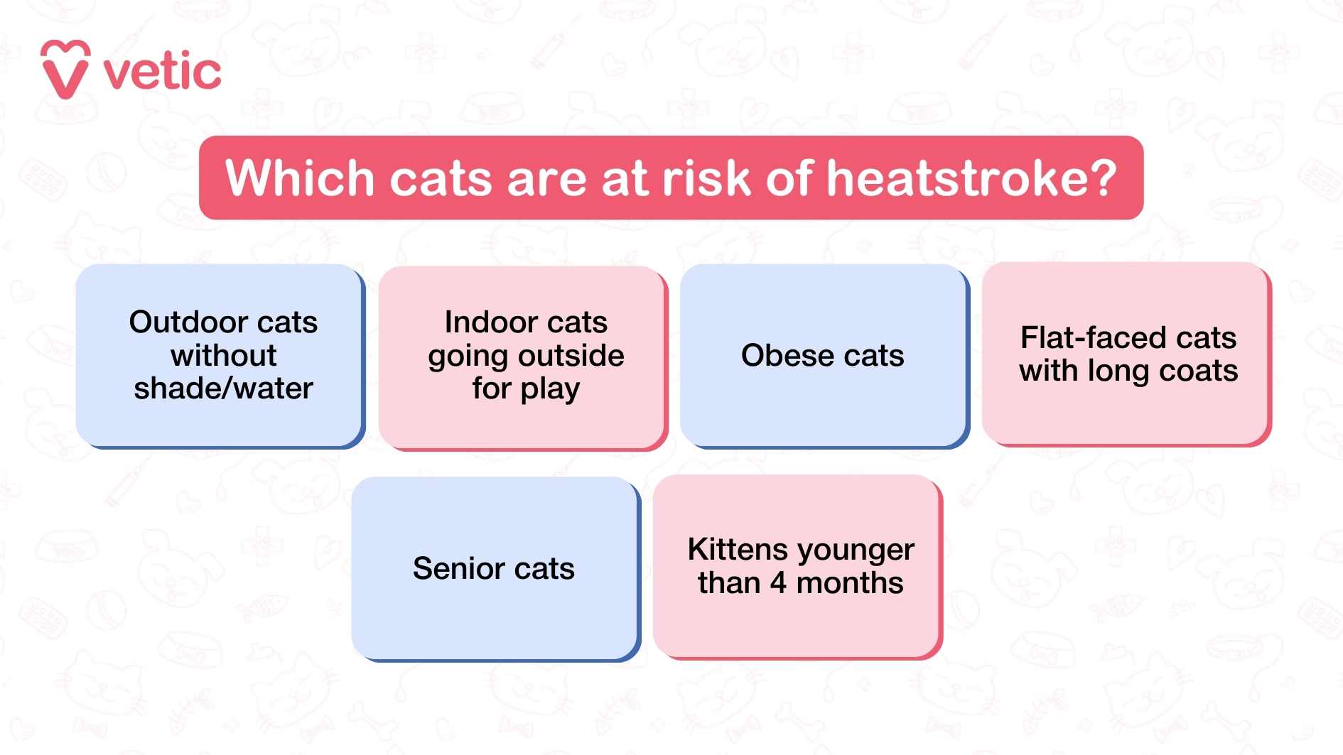 informative graphic on Which cats are at the risk of heatstroke? it has 6 high-risk groups including - outdoor cats, indoor cats who go outside to play, obese cats, senior cats, kittens younger than 4 months and flat-faced breeds with long coats.