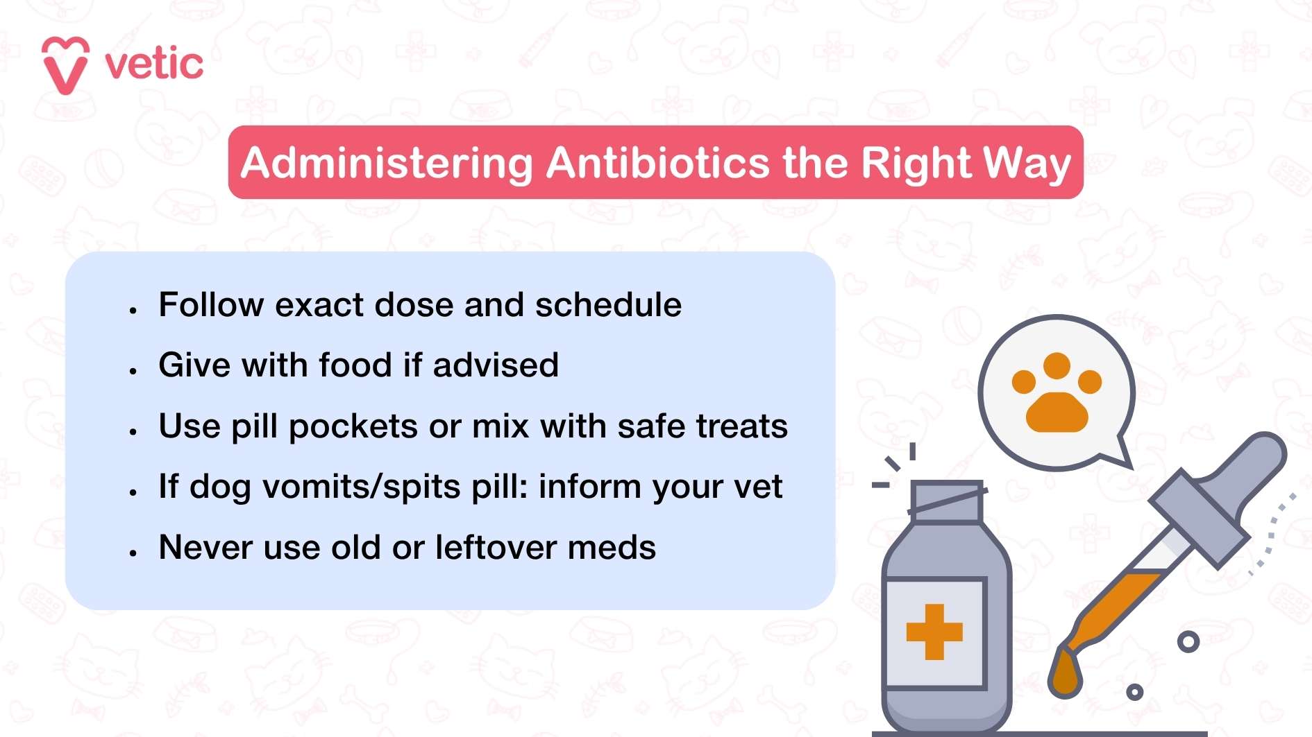 The image provides a set of guidelines for administering antibiotics to dogs, presented in a clear and structured manner by "vetic." The information is contained within a blue box, giving it a distinct and professional look. At the top of the box, a red banner displays the title "Administering Antibiotics the Right Way," emphasizing the importance of proper antibiotic use. The guidelines listed in the box include: Follow exact dose and schedule: Ensures effective treatment and prevents antibiotic resistance. Give with food if advised: Helps with digestion and reduces the chance of stomach upset. Use pill pockets or mix with safe treats: Makes it easier for dogs to take their medication. If dog vomits/spits pill: inform your vet: Ensures necessary adjustments can be made. Never use old or leftover meds: Prevents incorrect dosages and potential harm. Alongside the text, the image features a simple illustration of a medicine bottle with a dropper, visually reinforcing the medical context. There is also a speech bubble with a paw print, subtly drawing attention to the fact that the subject of these guidelines is dogs.