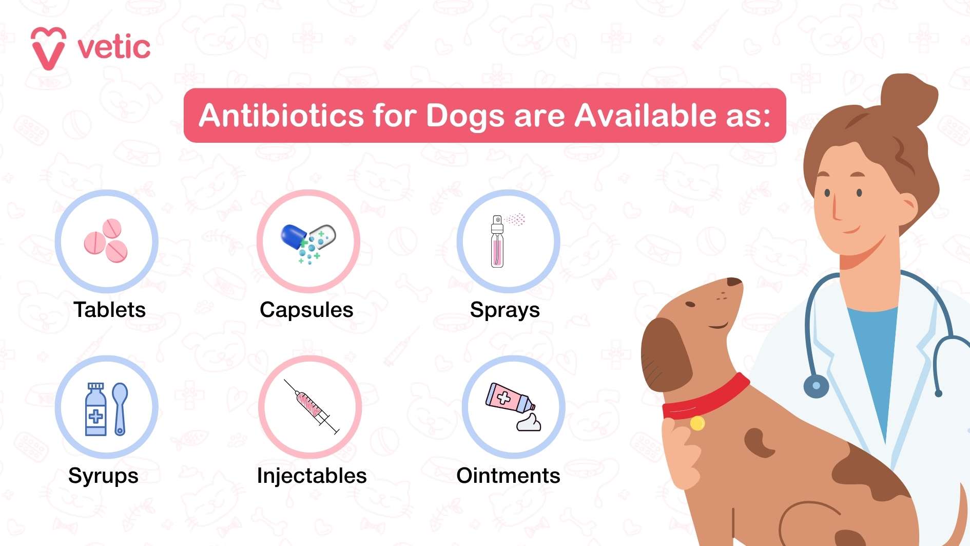 This informational image from Vetic highlights key aspects of antibiotic use in dogs. The structured layout consists of a blue box containing essential guidelines, ensuring clarity and easy readability. The Vetic logo is positioned at the top for credibility. The guidelines include: Follow exact dose and schedule to ensure proper treatment. Give with food if advised to prevent digestive discomfort. Use pill pockets or mix with safe treats to ease administration. If the dog vomits or spits out the pill, inform your vet for professional guidance. Never use old or leftover meds to avoid incorrect dosages or potential harm. A medicine bottle with a dropper is visually integrated into the graphic, reinforcing the medical theme. A speech bubble with a paw print adds a lighthearted touch while keeping the focus on canine health.