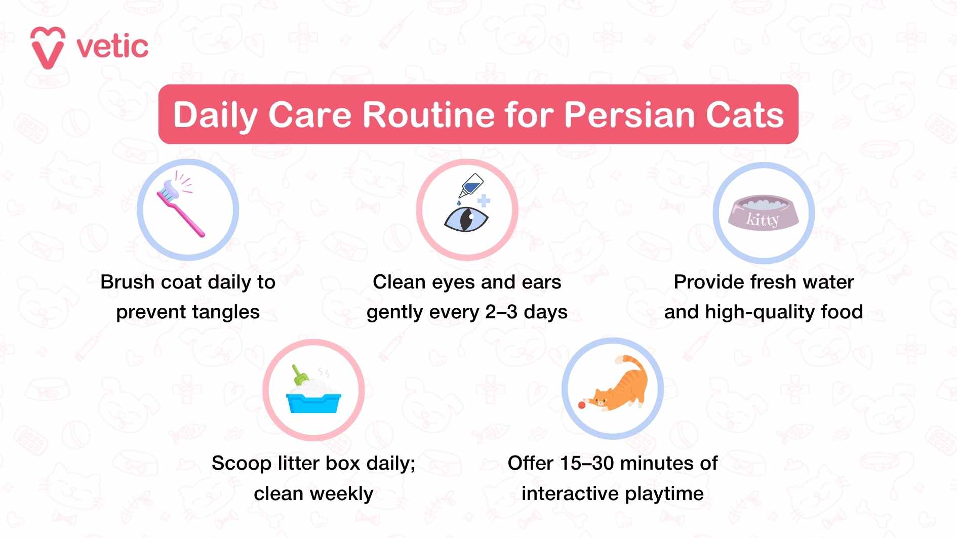 The infographic, titled "Daily Care Routine for Persian Cats" from Vetic, presents five essential steps for maintaining the health and well-being of Persian cats. Each care tip is accompanied by a relevant illustration, making the guide visually engaging and easy to follow. The first recommendation emphasizes daily coat brushing to prevent tangles and matting, which is particularly crucial for Persian cats due to their long fur. This section is reinforced by an illustration of a brush, visually linking the care tip to its practical application. The next tip advises pet owners to clean their cat’s eyes and ears gently every two to three days, ensuring they remain free from dirt and potential infections. This step is represented by an image of an eye with a dropper, symbolizing careful hygiene. The infographic then highlights the importance of providing fresh water and high-quality food, ensuring optimal nutrition and hydration for Persian cats. Accompanying this tip is an illustration of a food bowl labeled "kitty," reinforcing the dietary aspect of care. Next, it outlines the necessity of scooping the litter box daily and performing a thorough cleaning weekly, helping maintain a hygienic living environment for the cat. This recommendation is paired with an illustration of a litter box with a scoop, visually reinforcing the concept of proper waste management.