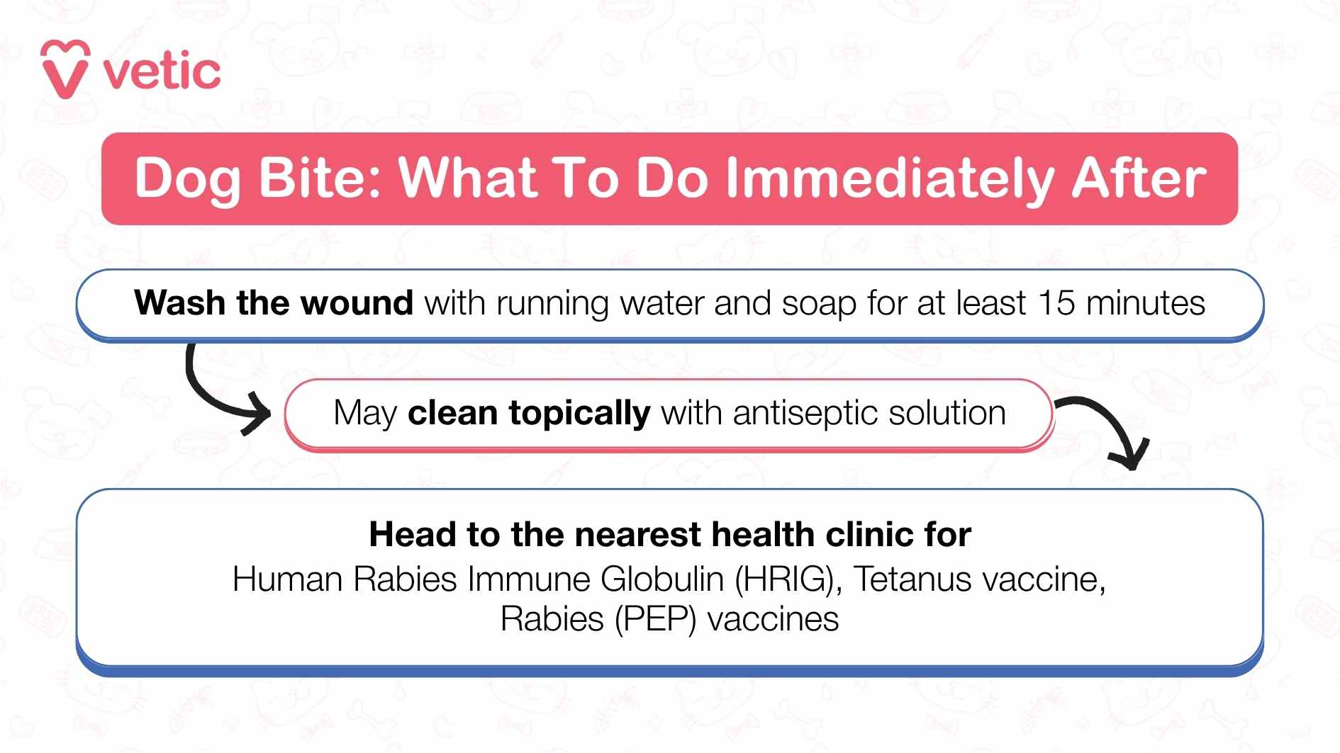 If someone is bitten by a dog, the first thing to do is move to a safe location away from the animal. The wound should be immediately washed with soap and running water for at least fifteen minutes to help reduce the risk of infection. It’s important to seek medical attention right away, even if the bite seems minor, as a doctor may recommend further treatment such as a tetanus booster or rabies vaccination. If the dog is unknown or a stray, the bite should be reported to local authorities. Finally, keep an eye on the wound for signs of infection like redness, swelling, pus, or fever, and return to a healthcare provider if any of those symptoms appear.