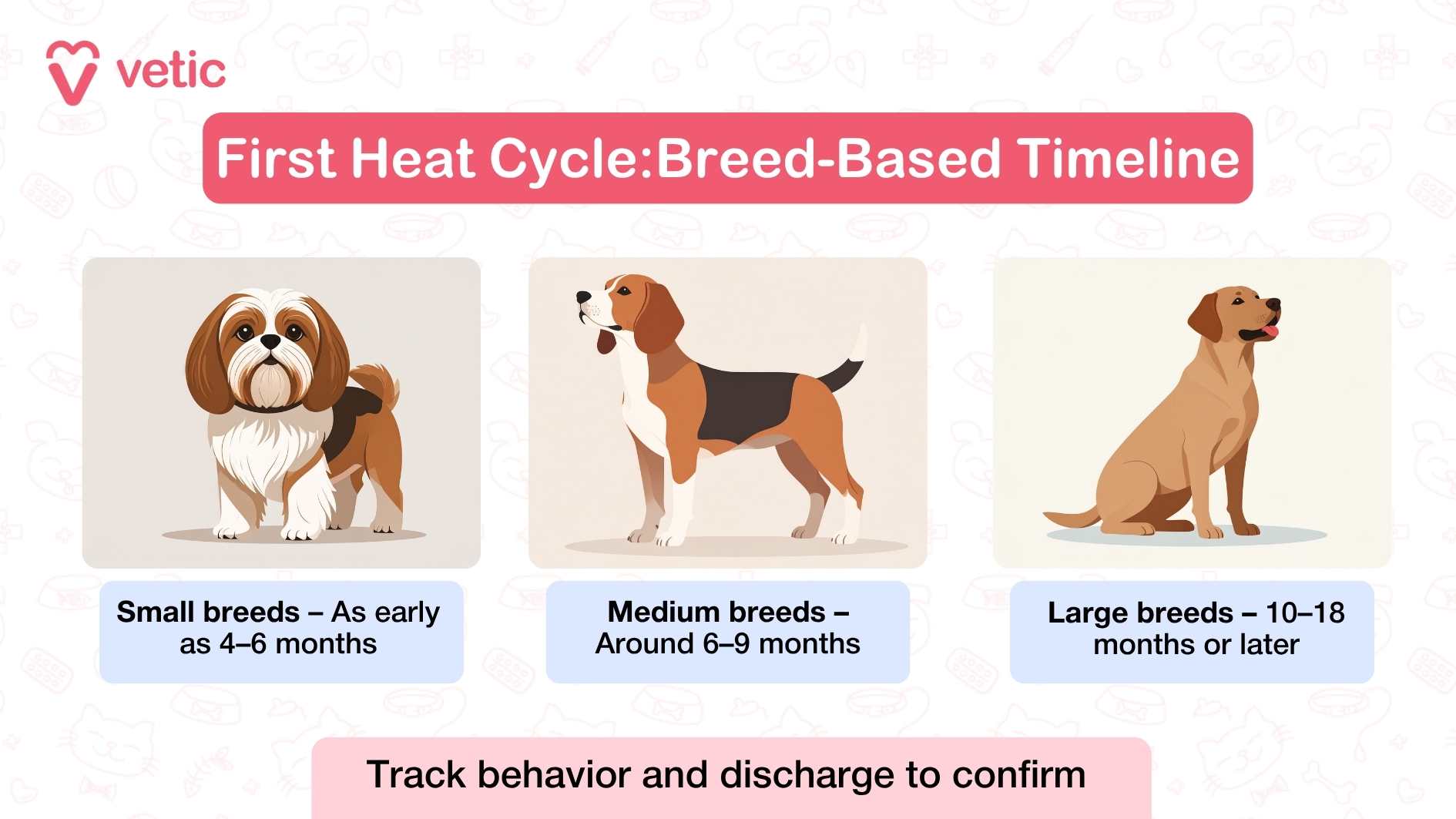 First Heat Cycle: Breed-Based Timeline Small breeds – As early as 4–6 months Medium breeds – Around 6–9 months Large breeds – 10–18 months or later Track behavior and discharge to confirm