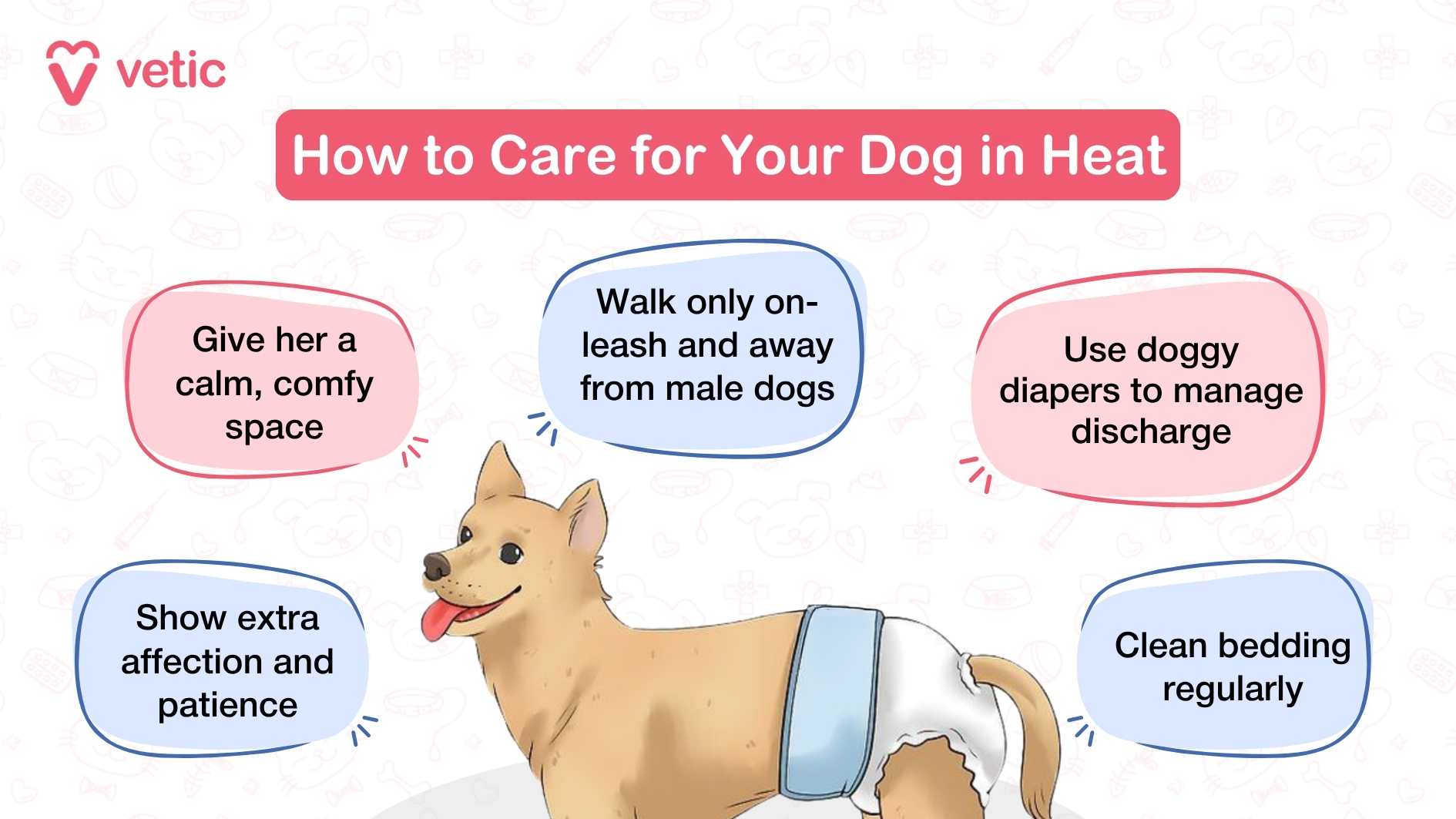 How to Care for Your Dog in Heat Use doggy diapers to manage discharge Walk only on-leash and away from male dogs Give her a calm, comfy space Clean bedding regularly Show extra affection and patience