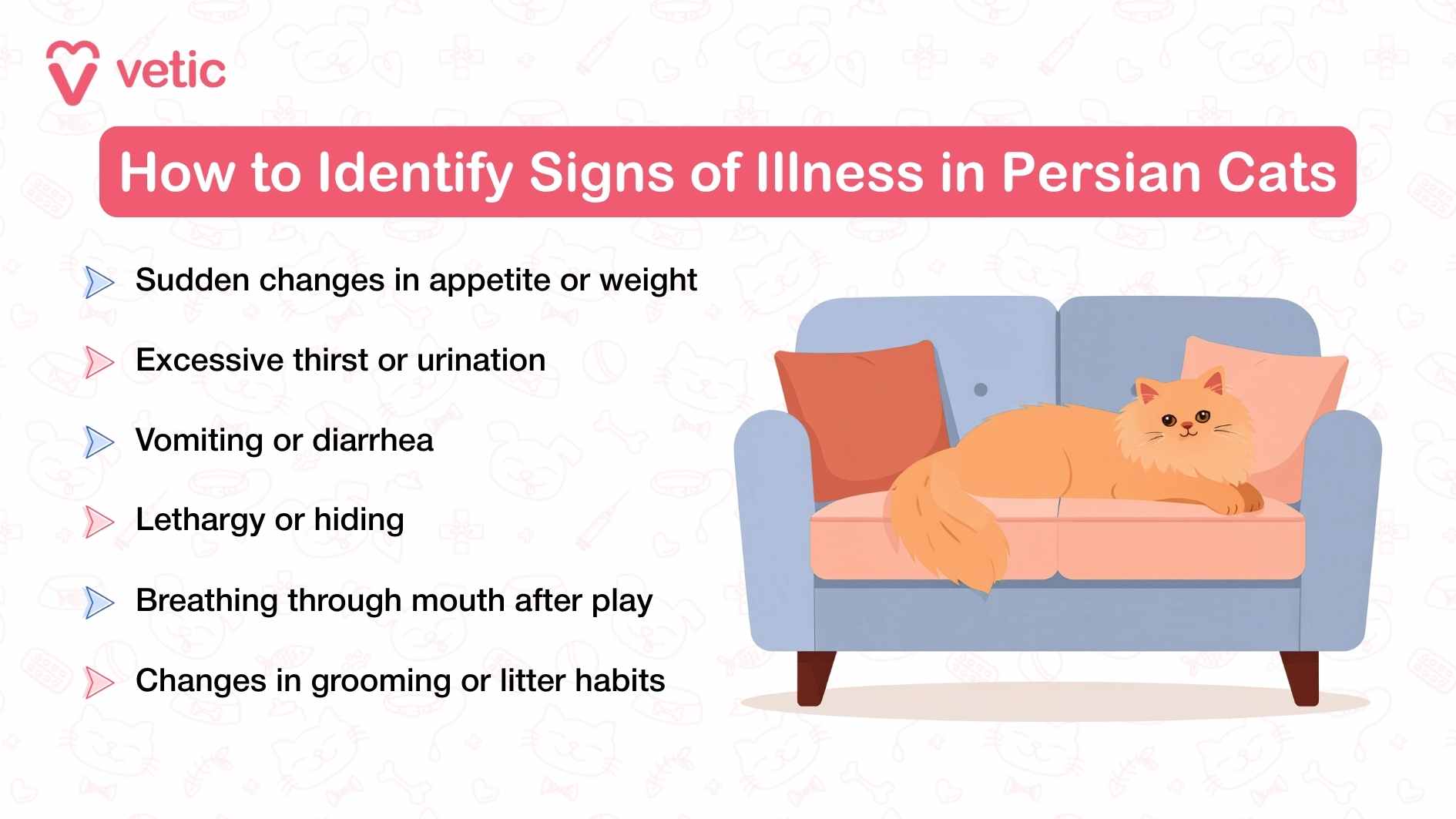 The image is a visually structured infographic by Vetic that aims to educate pet owners on identifying signs of illness in Persian cats. The title is clear and immediately communicates the purpose of the graphic. At the center of the image, there is an illustration of a Persian cat lounging on a couch, accompanied by two pillows. The background features a subtle pattern of pet-related icons, reinforcing the theme of feline health. The infographic lists several symptoms that may indicate a health issue in Persian cats, framed in a way that makes the information easily digestible. It warns pet owners to watch for sudden changes in appetite or weight, which could signify underlying health concerns. Additionally, excessive thirst or urination is highlighted as a potential warning sign, often linked to conditions like diabetes or kidney disease. Further down, vomiting and diarrhea are identified as symptoms that require attention, as they may stem from dietary issues or more serious gastrointestinal disorders. Lethargy or hiding behavior is also mentioned, suggesting that if a Persian cat withdraws from interaction or appears unusually inactive, it could be experiencing discomfort or illness. One specific symptom noted is breathing through the mouth after play, which may signal respiratory distress. Lastly, the infographic advises monitoring changes in grooming and litter habits, as neglecting self-care or avoiding the litter box might indicate stress or illness.