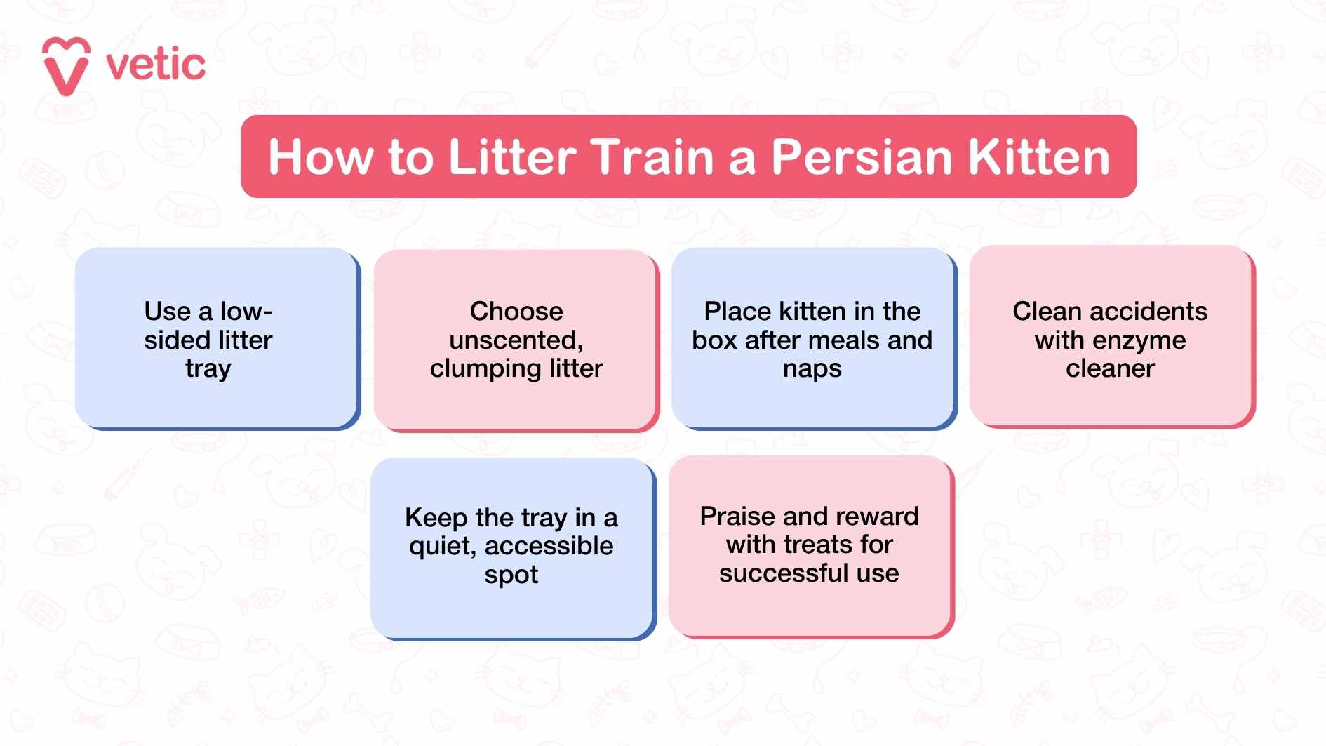 The infographic titled "How to Litter Train a Persian Kitten" by Vetic provides a structured approach to ensuring a Persian kitten successfully learns to use a litter box. The title is prominently displayed, immediately establishing the purpose of the guide. The background of the image is clean and visually appealing, making the text easy to read. The content is divided into six clear steps, each detailing an essential aspect of the training process. The first step advises using a low-sided litter tray, ensuring that the kitten can easily access it without difficulty. The second step emphasizes the importance of choosing unscented, clumping litter, which is gentle on the kitten and encourages regular use. The infographic then highlights the necessity of placing the kitten in the litter box after meals and naps, reinforcing routine and familiarity. It also provides guidance on cleaning accidents with enzyme cleaner, a crucial step in preventing lingering odors that might discourage proper litter habits. The placement of the litter tray is also considered, recommending that it be kept in a quiet, accessible spot to reduce stress for the kitten. Finally, the infographic underscores the importance of positive reinforcement by encouraging praise and the use of treats when the kitten successfully uses the litter box.