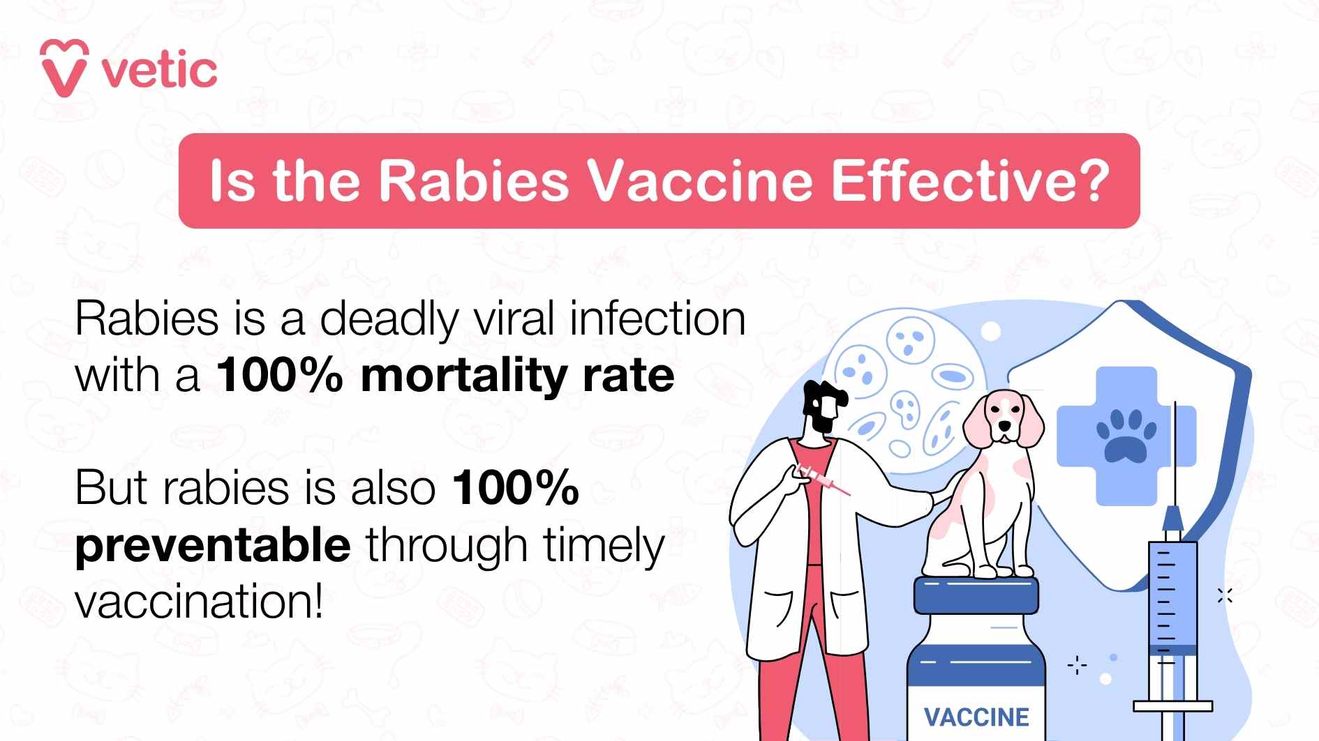 Is the rabies vaccine effective? Yes, very. The rabies vaccine is highly effective when given correctly and on time. It triggers the immune system to produce antibodies that fight off the virus before it can reach the brain. Once rabies symptoms start, the disease is almost always fatal—so prevention through vaccination is essential.
