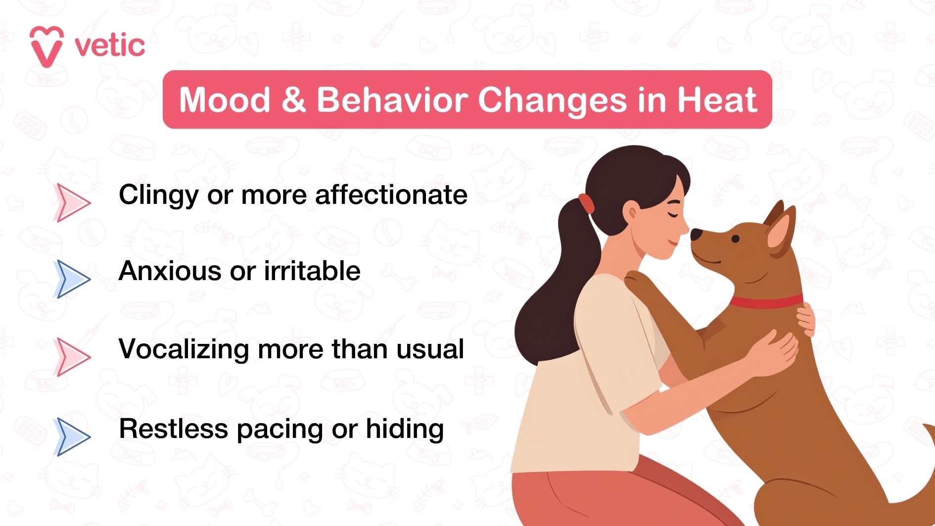 Just like humans, dogs can also show changes in mood and behaviour when in heat. for example, they can become Clingy or more affectionate Anxious or irritable Vocalizing more than usual Restless pacing or hiding